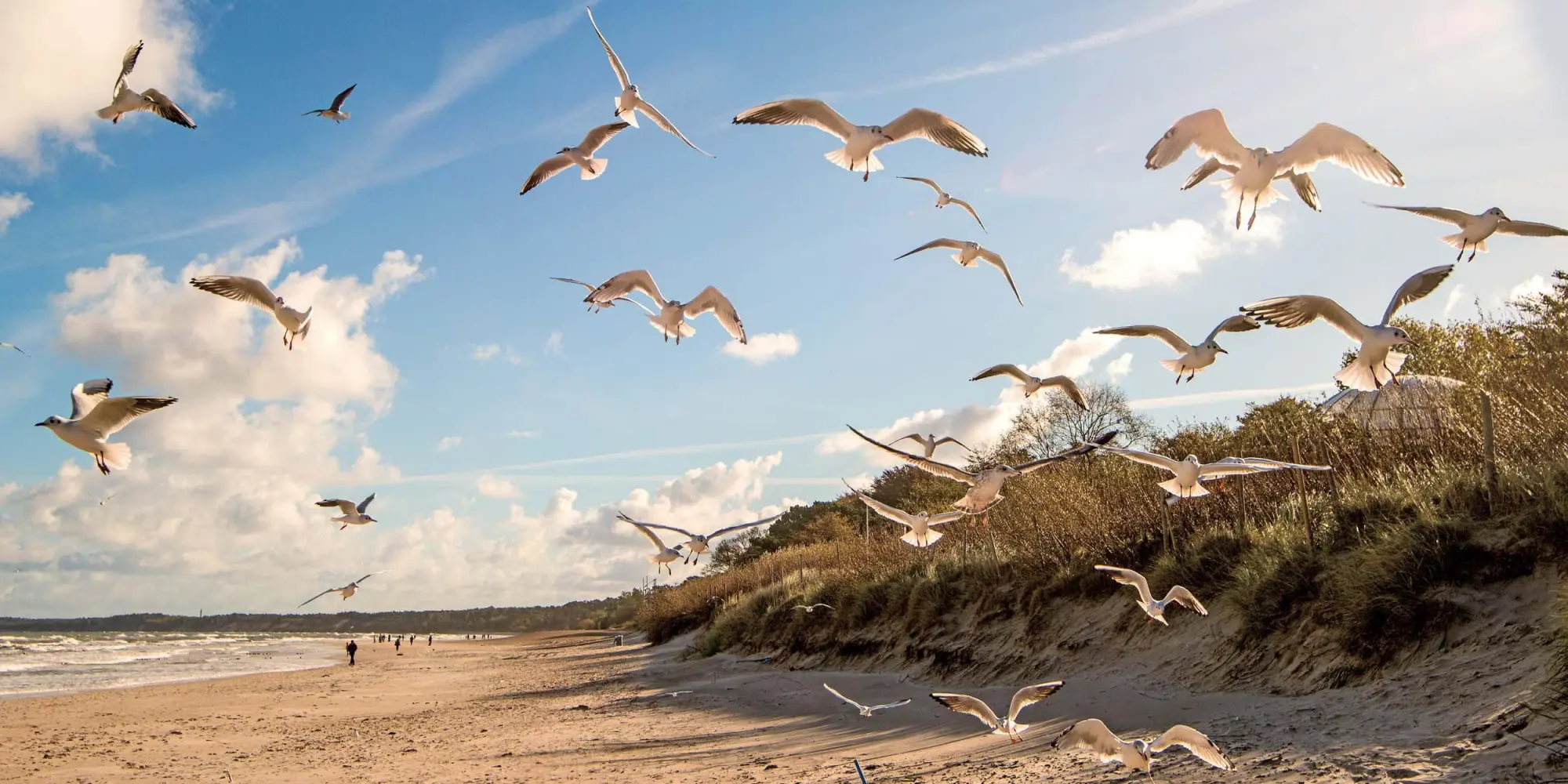 Bild: 9783959296144 | Ostsee/Baltic Sea 2026 | Kalender 2026 | Kalender | Artwork Edition