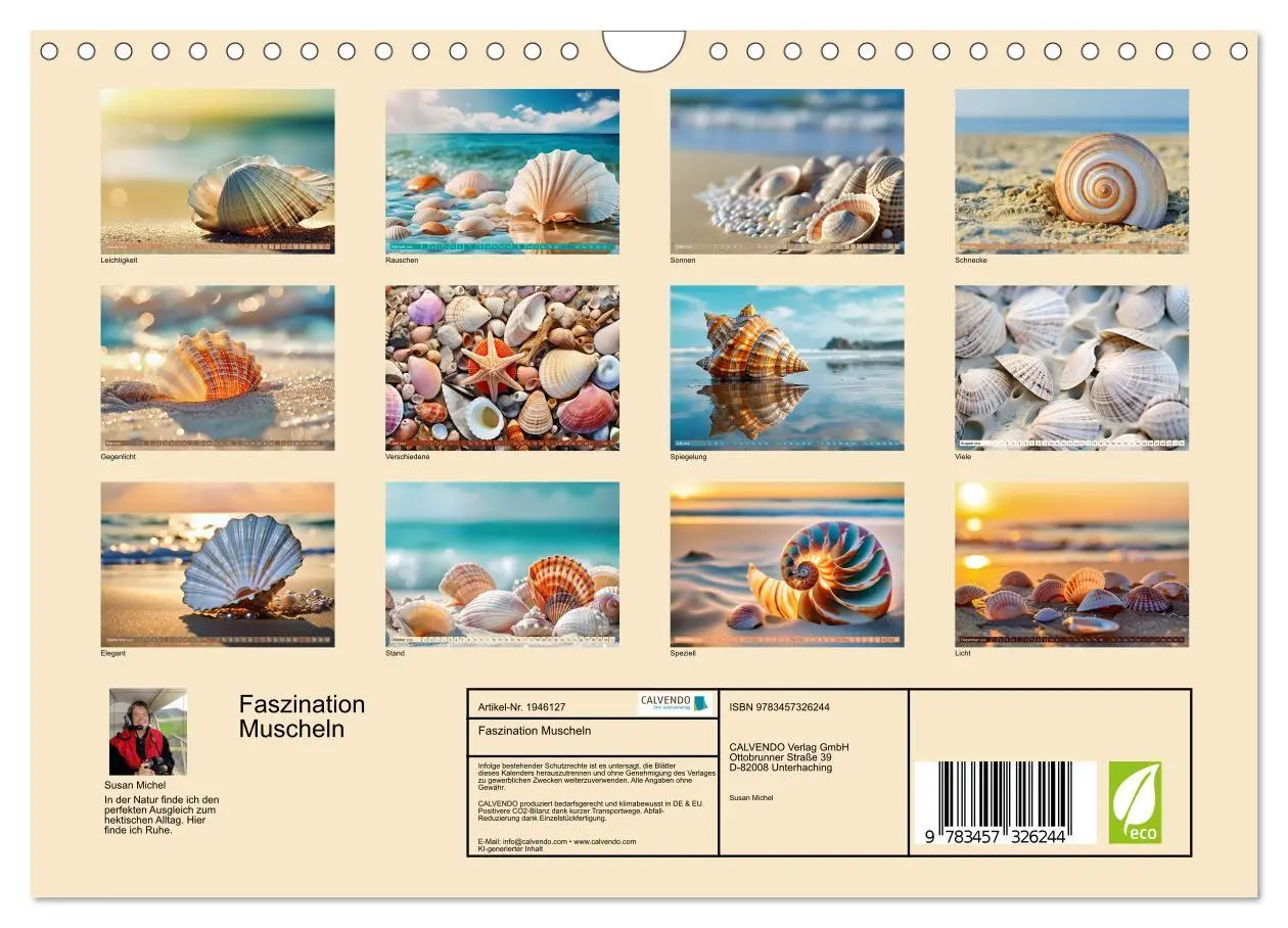 Bild: 9783457326244 | Faszination Muscheln (Wandkalender 2026 DIN A4 quer), CALVENDO...