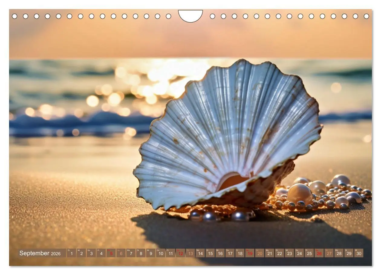 Bild: 9783457326244 | Faszination Muscheln (Wandkalender 2026 DIN A4 quer), CALVENDO...