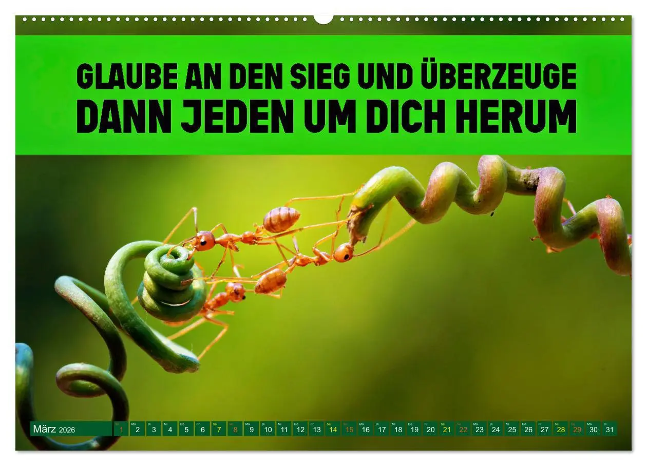 Bild: 9783457246344 | Gemeinsam sind wir stark - motivierende Sprüche über Teams...