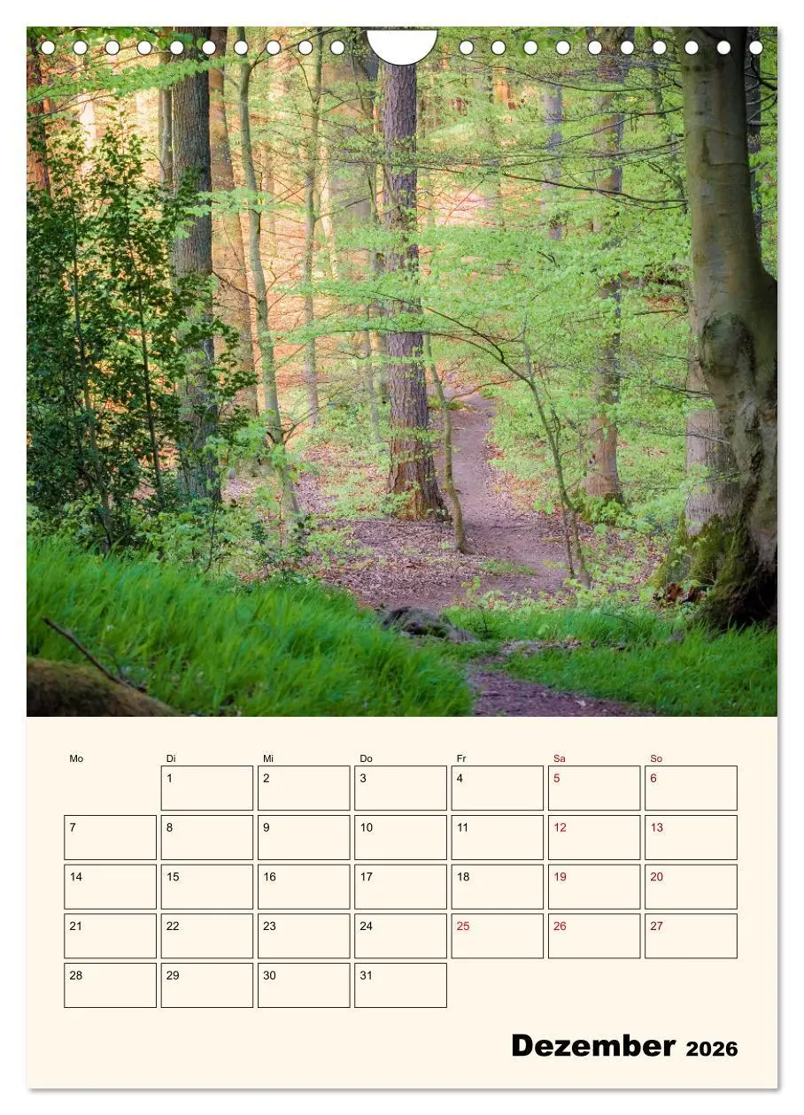 Bild: 9783516266344 | Deutschland. Deutsche Lande, vielfältig und bunt (Wandkalender 2026...