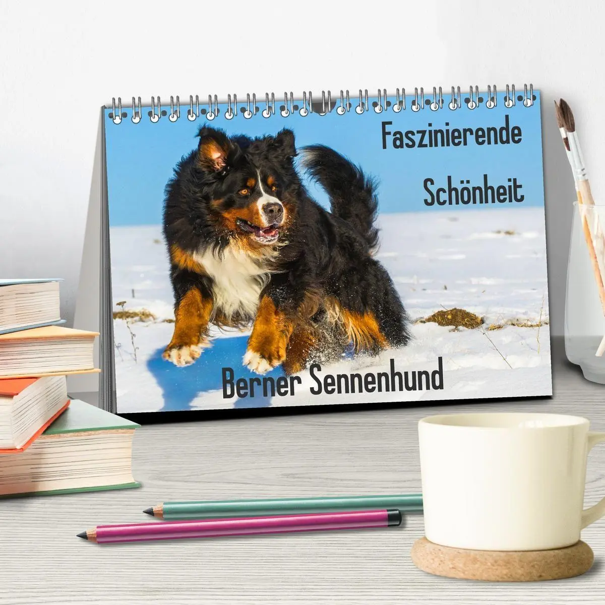 Bild: 9783569806344 | Faszinierende Schönheit Berner Sennenhund (Tischkalender 2027 DIN...