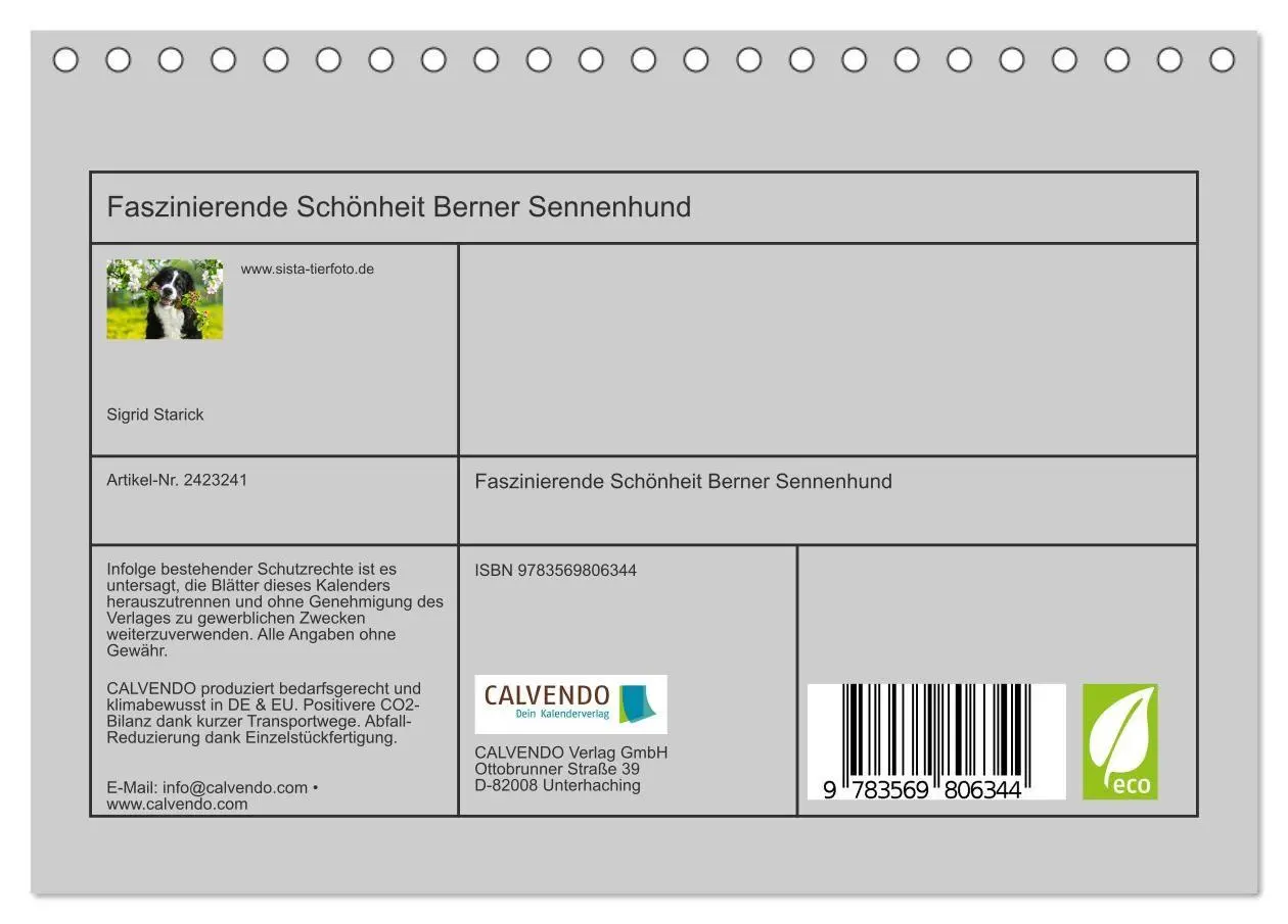 Bild: 9783569806344 | Faszinierende Schönheit Berner Sennenhund (Tischkalender 2027 DIN...