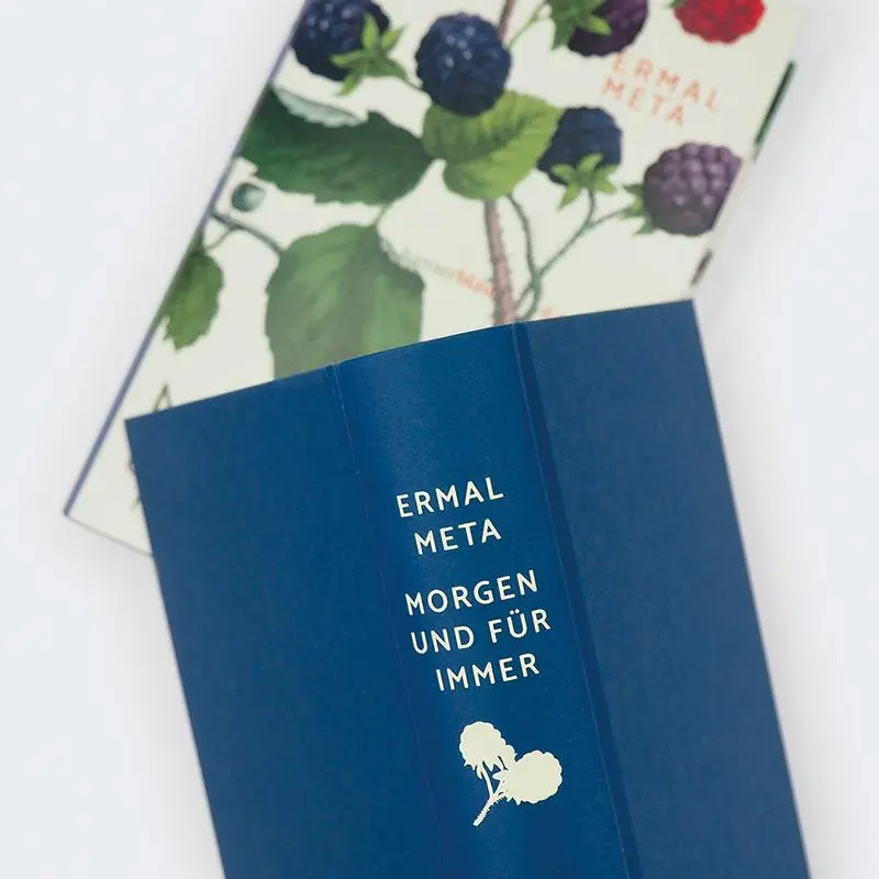 Bild: 9783446276444 | Morgen und für immer | Roman | Ermal Meta | Buch | 528 S. | Deutsch