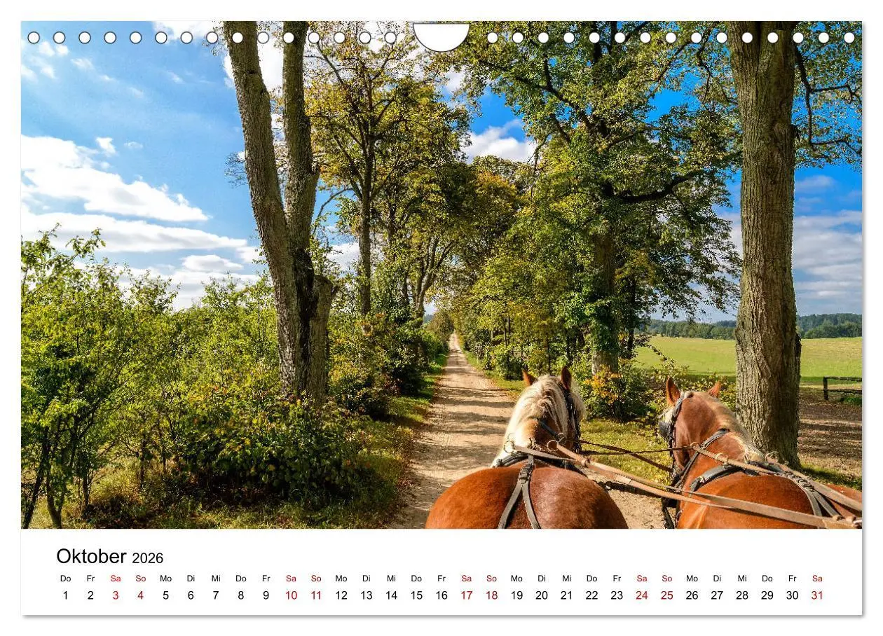 Bild: 9783457926444 | Masuren 2026 - Land der 1000 Seen (Wandkalender 2026 DIN A4 quer),...
