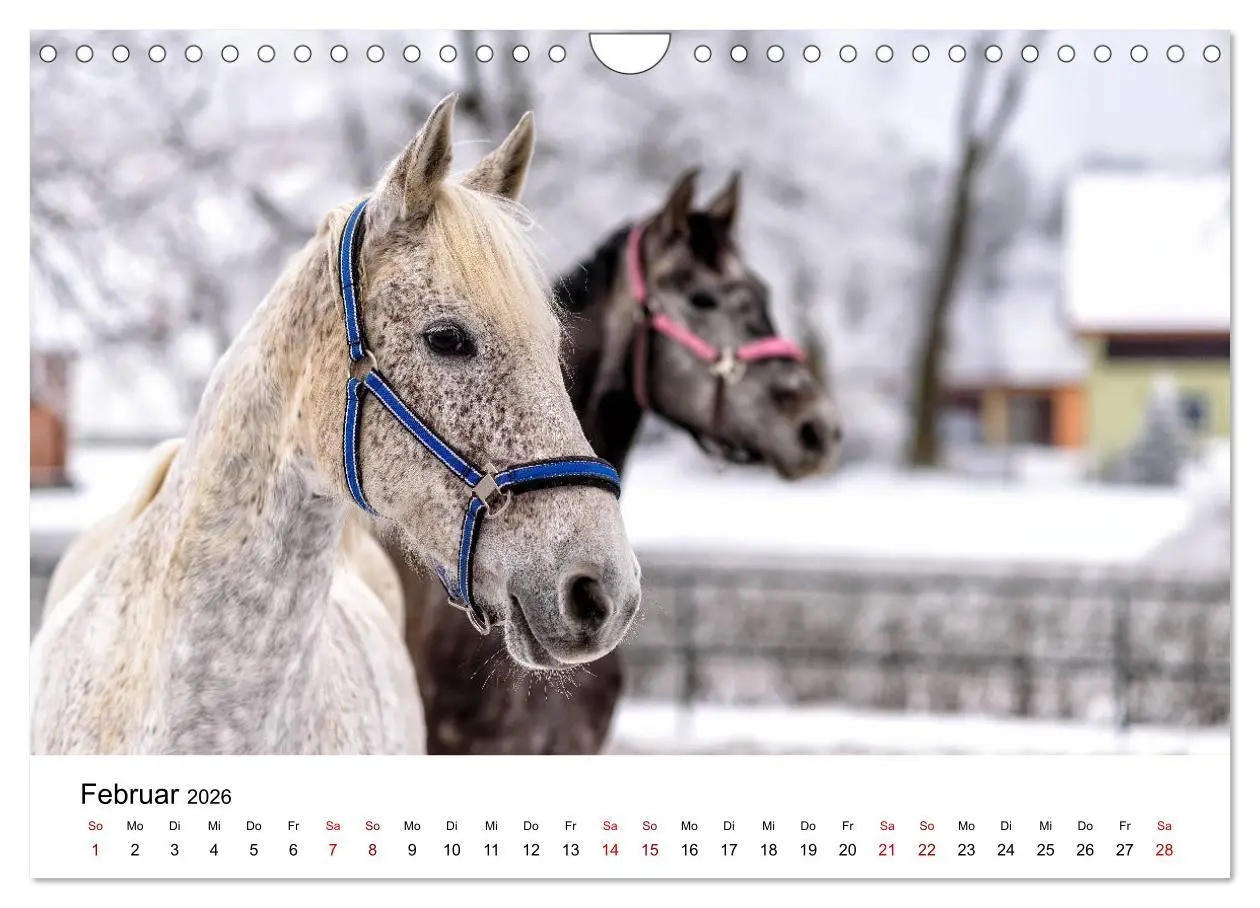 Bild: 9783457926444 | Masuren 2026 - Land der 1000 Seen (Wandkalender 2026 DIN A4 quer),...