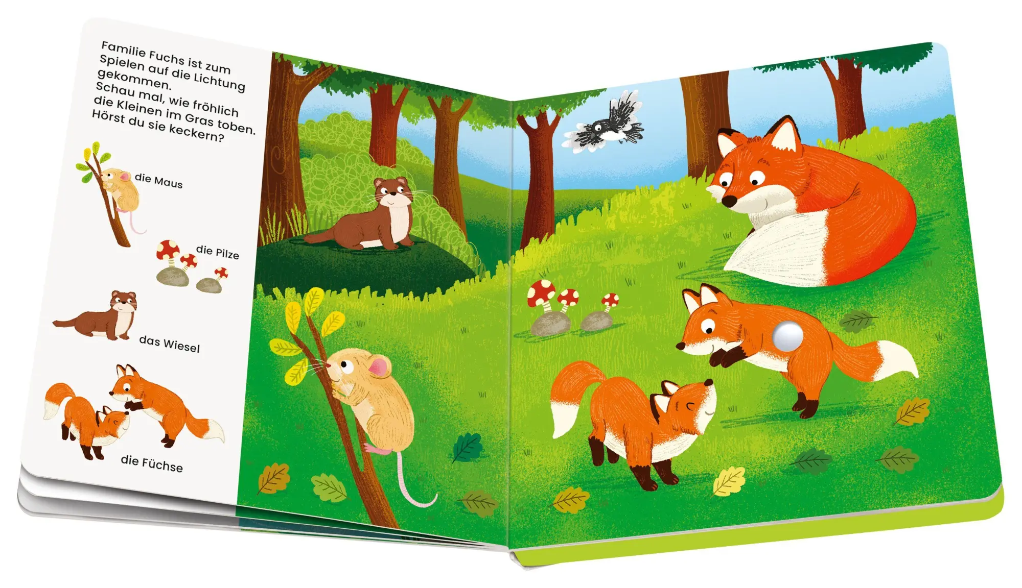 Bild: 9783473456444 | Play+ Mein allererstes Soundbuch Tiere im Wald - ab 12 Monate | Höck