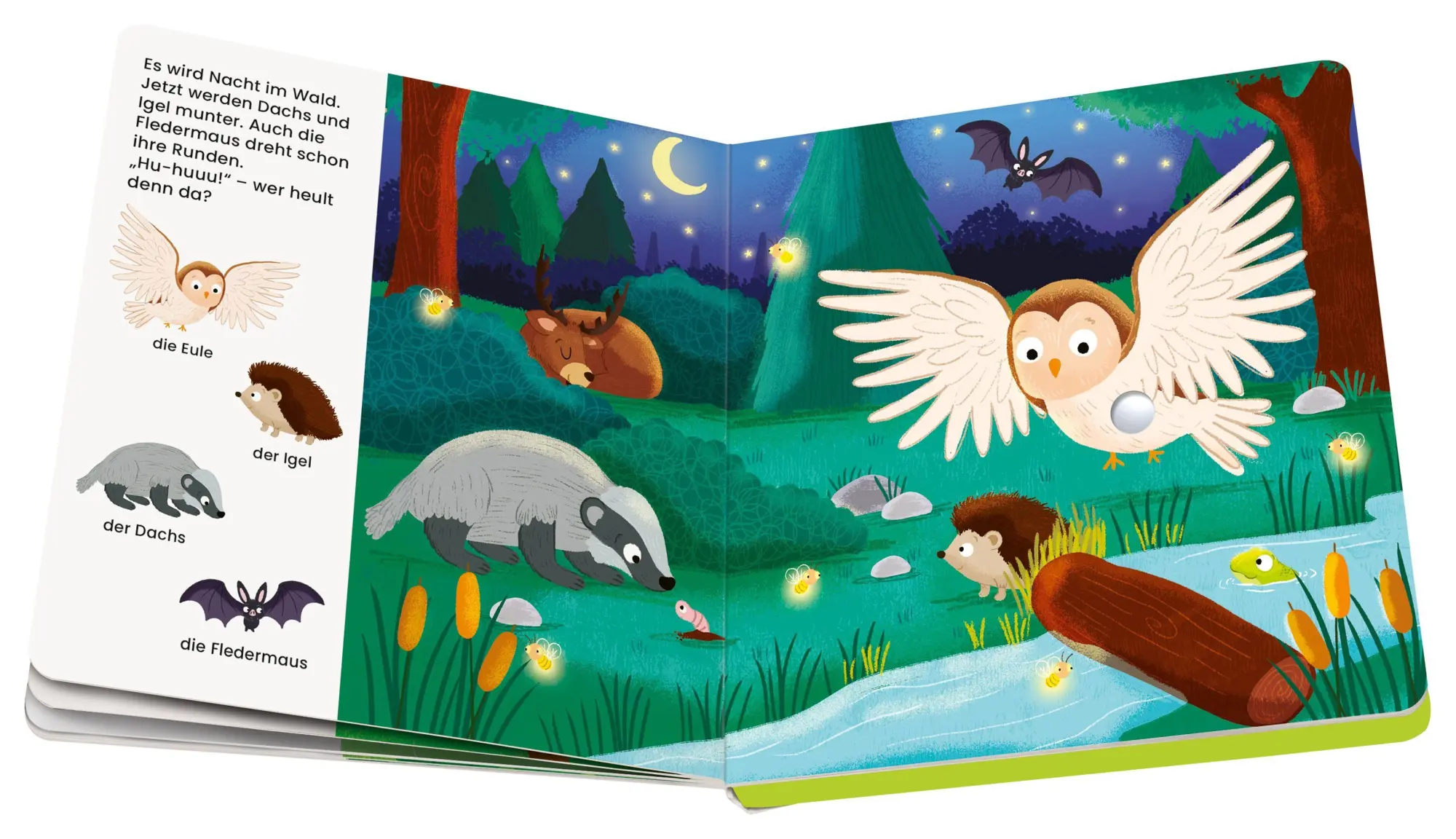 Bild: 9783473456444 | Play+ Mein allererstes Soundbuch Tiere im Wald - ab 12 Monate | Höck