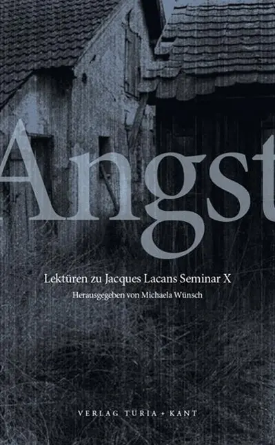 Cover: 9783851326444 | Angst | Lekturen zu Jacques Lacans Seminar X | Michaela Wünsch | Buch