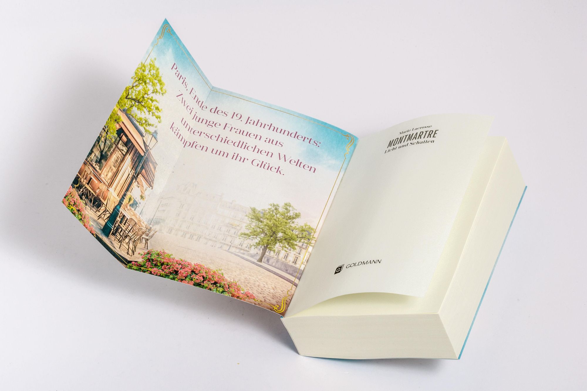 Bild: 9783442206544 | Montmartre - Licht und Schatten | Roman | Marie Lacrosse | Taschenbuch