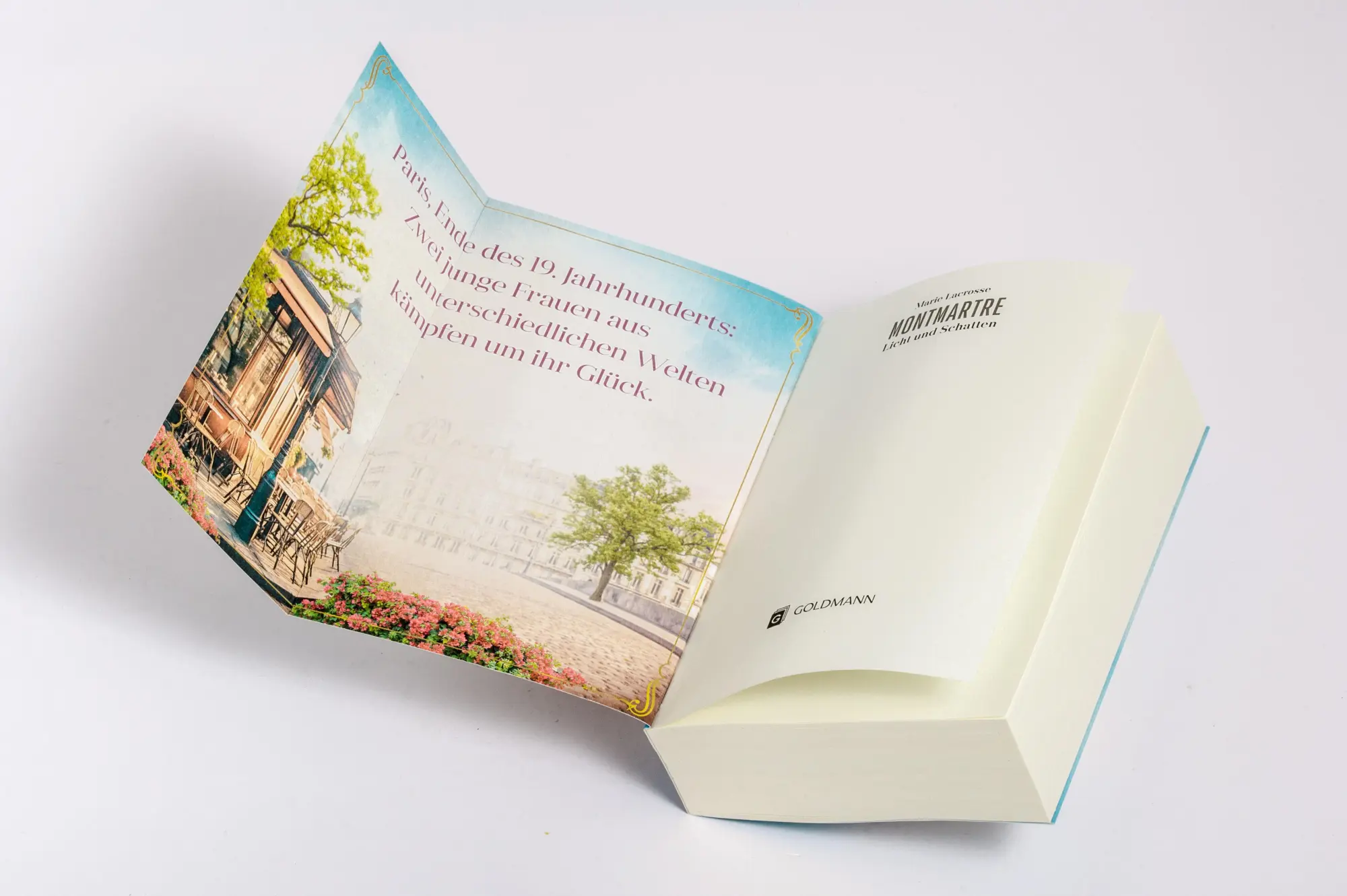 Bild: 9783442206544 | Montmartre - Licht und Schatten | Roman | Marie Lacrosse | Taschenbuch