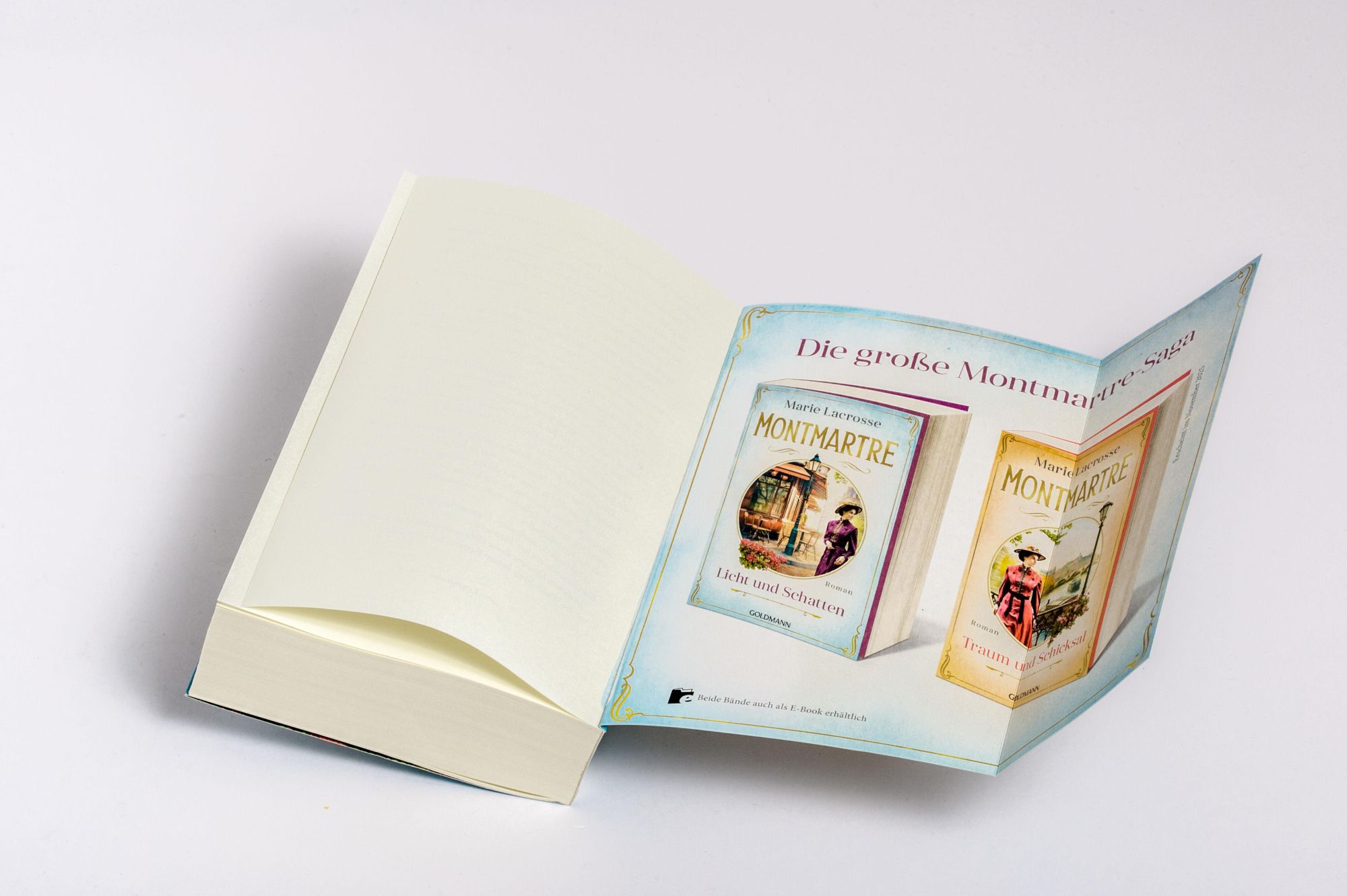 Bild: 9783442206544 | Montmartre - Licht und Schatten | Roman | Marie Lacrosse | Taschenbuch