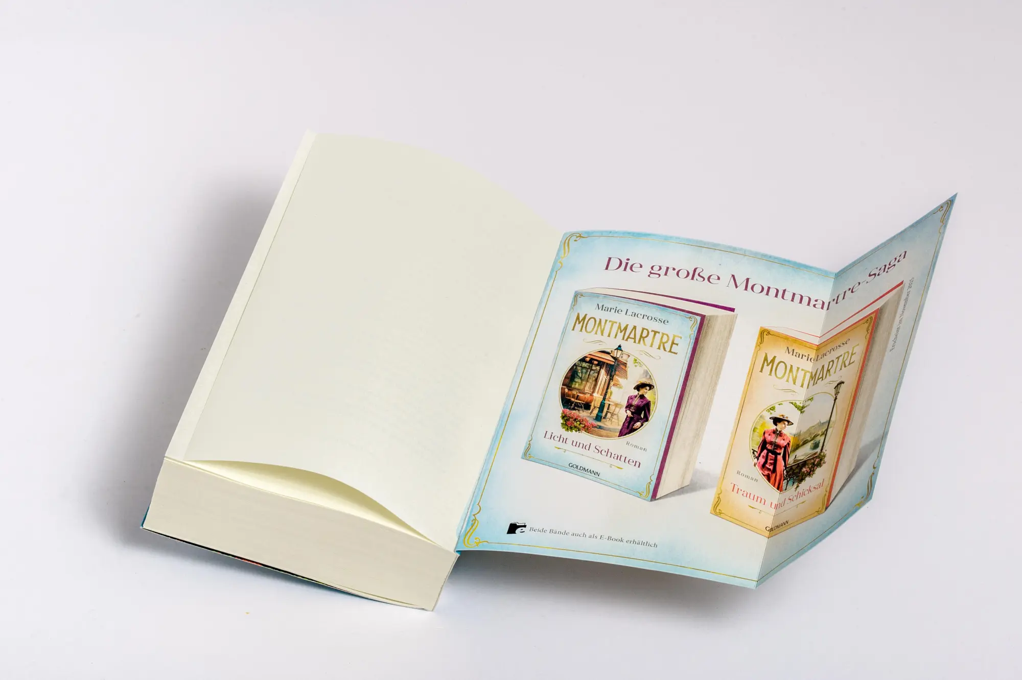 Bild: 9783442206544 | Montmartre - Licht und Schatten | Roman | Marie Lacrosse | Taschenbuch