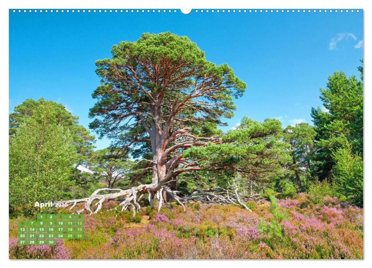 Bild: 9783457396544 | Naturschauspiele in Schottland (hochwertiger Premium Wandkalender...