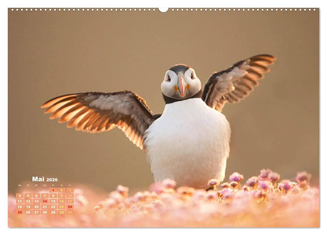 Bild: 9783457396544 | Naturschauspiele in Schottland (hochwertiger Premium Wandkalender...