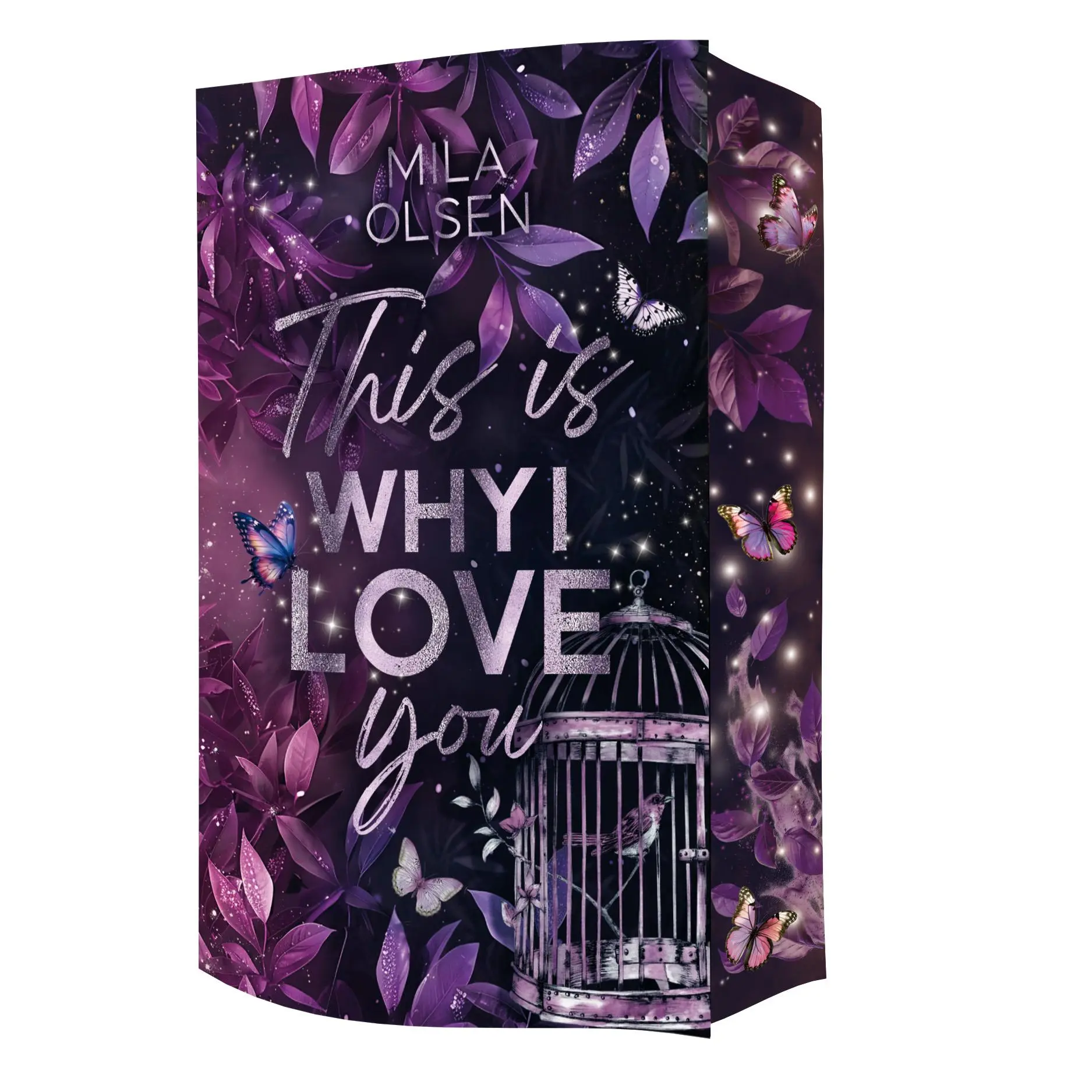 Cover: 9783910956544 | This is Why I Love You | Mila Olsen | Taschenbuch | This-is-Why | 2025