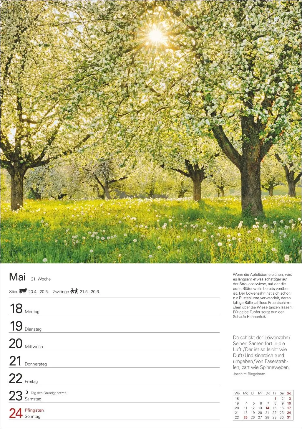 Bild: 9783840036644 | Bäume Wochenplaner 2026 - 53 stimmungsvolle Fotografien | Kalender