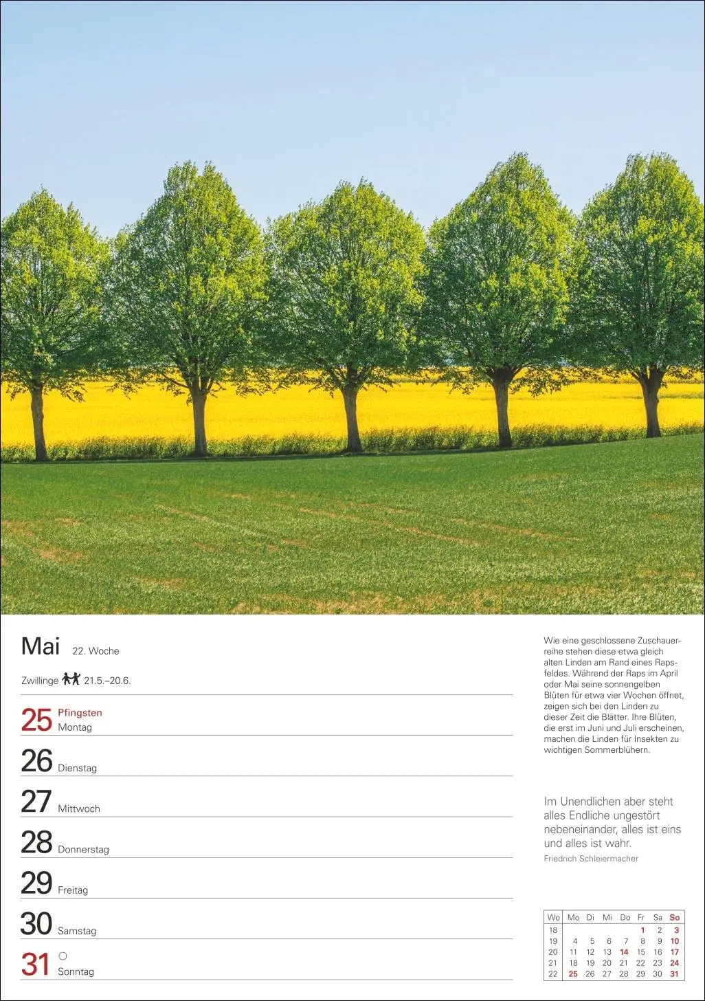 Bild: 9783840036644 | Bäume Wochenplaner 2026 - 53 stimmungsvolle Fotografien | Kalender