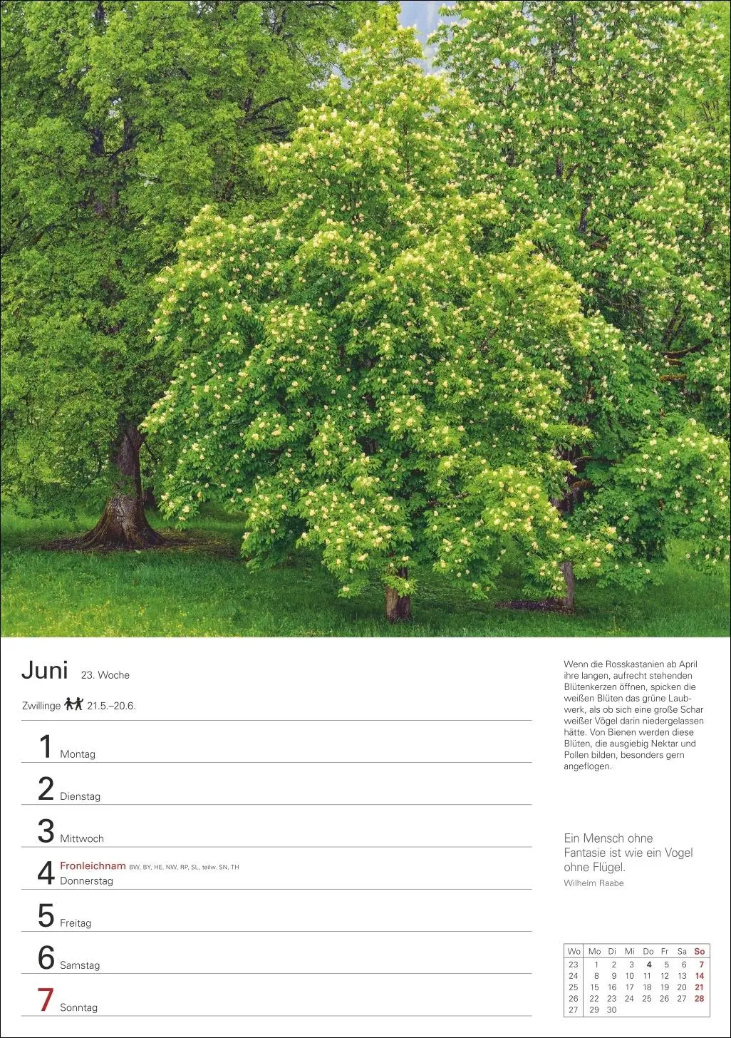 Bild: 9783840036644 | Bäume Wochenplaner 2026 - 53 stimmungsvolle Fotografien | Kalender