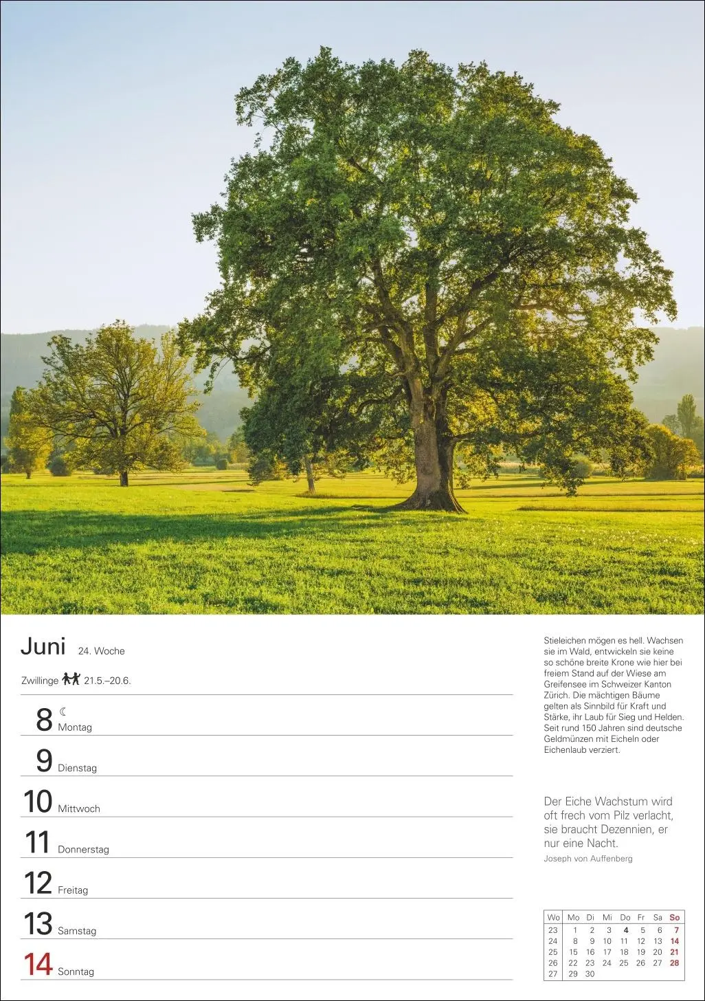 Bild: 9783840036644 | Bäume Wochenplaner 2026 - 53 stimmungsvolle Fotografien | Kalender