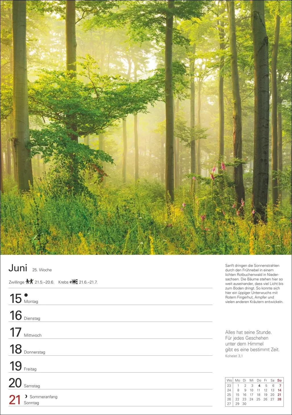 Bild: 9783840036644 | Bäume Wochenplaner 2026 - 53 stimmungsvolle Fotografien | Kalender
