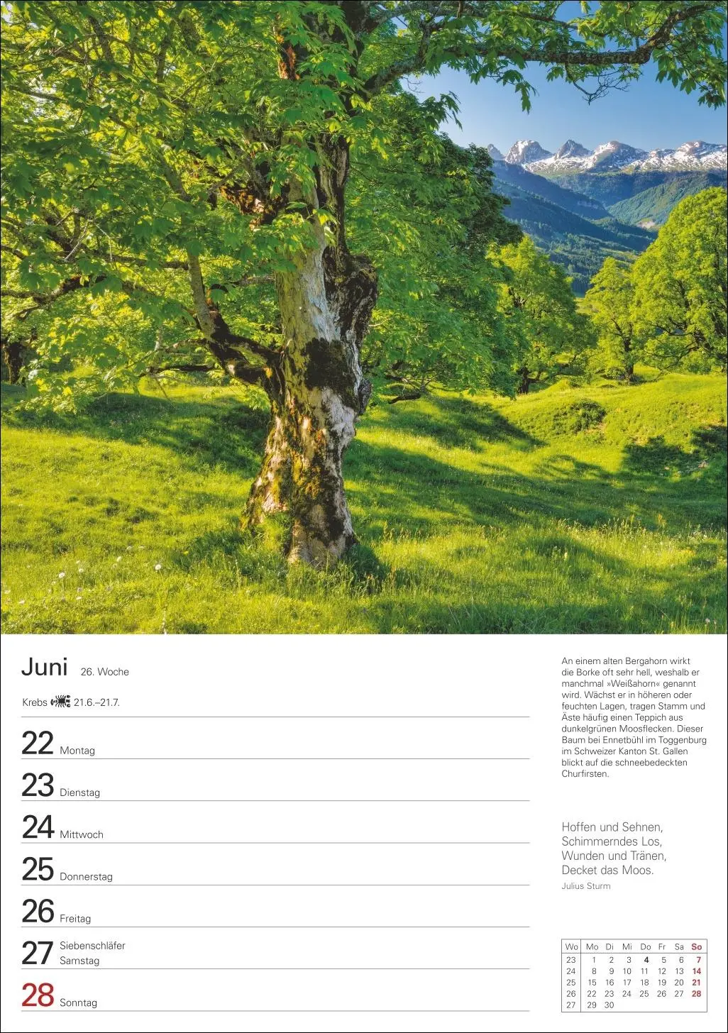 Bild: 9783840036644 | Bäume Wochenplaner 2026 - 53 stimmungsvolle Fotografien | Kalender