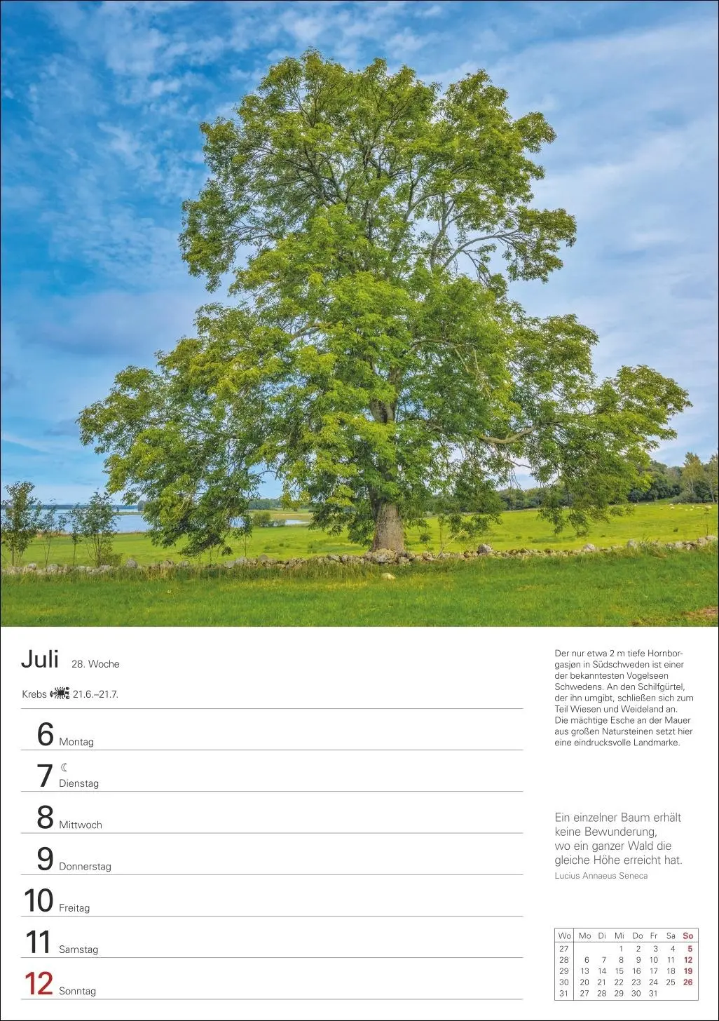 Bild: 9783840036644 | Bäume Wochenplaner 2026 - 53 stimmungsvolle Fotografien | Kalender