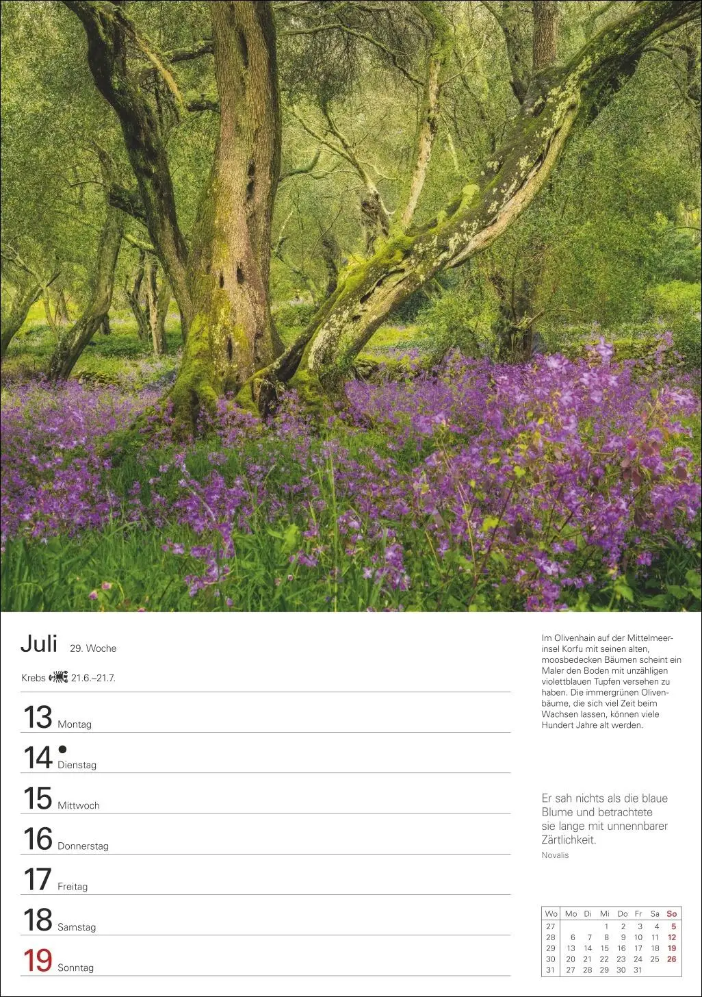 Bild: 9783840036644 | Bäume Wochenplaner 2026 - 53 stimmungsvolle Fotografien | Kalender