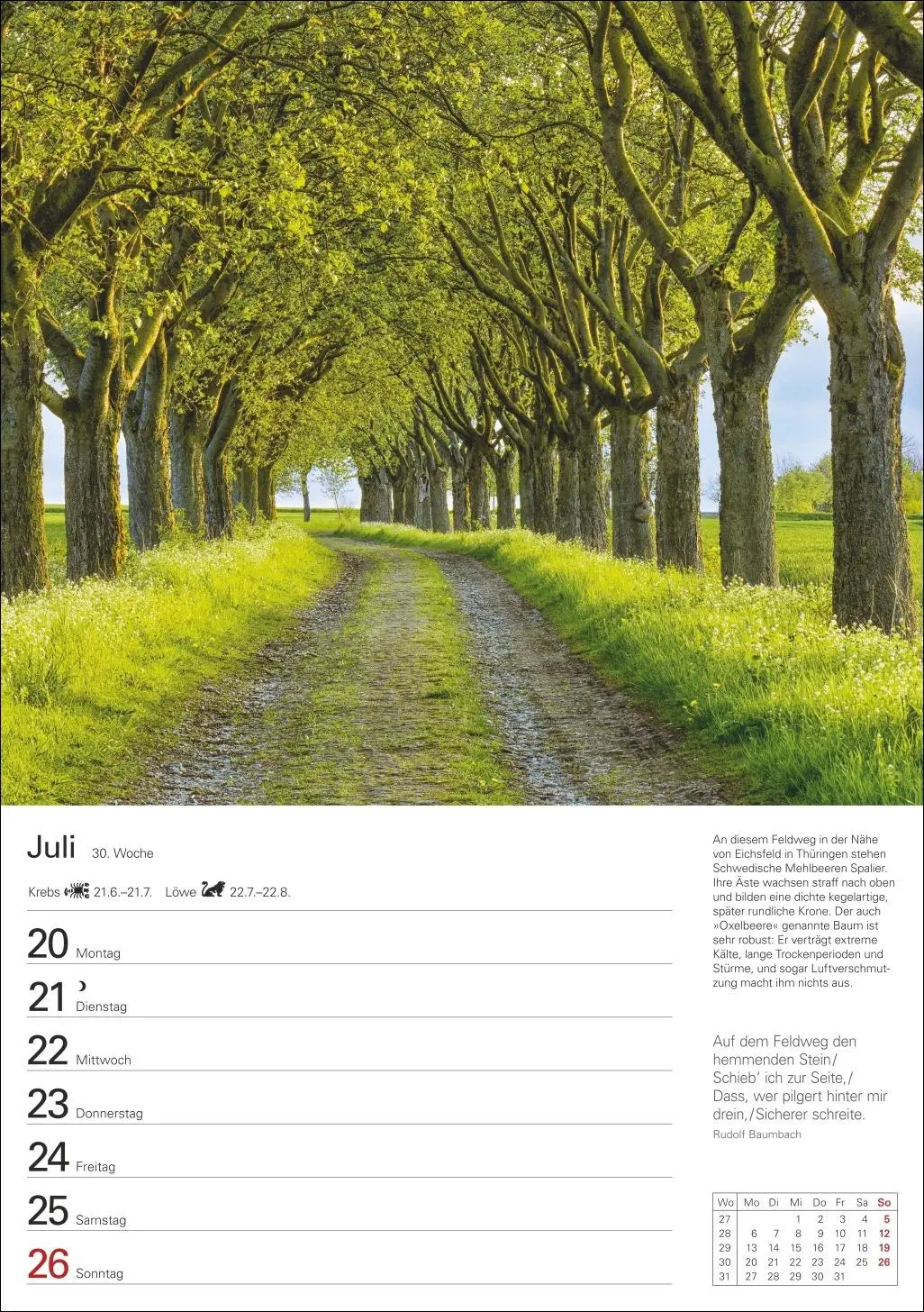 Bild: 9783840036644 | Bäume Wochenplaner 2026 - 53 stimmungsvolle Fotografien | Kalender