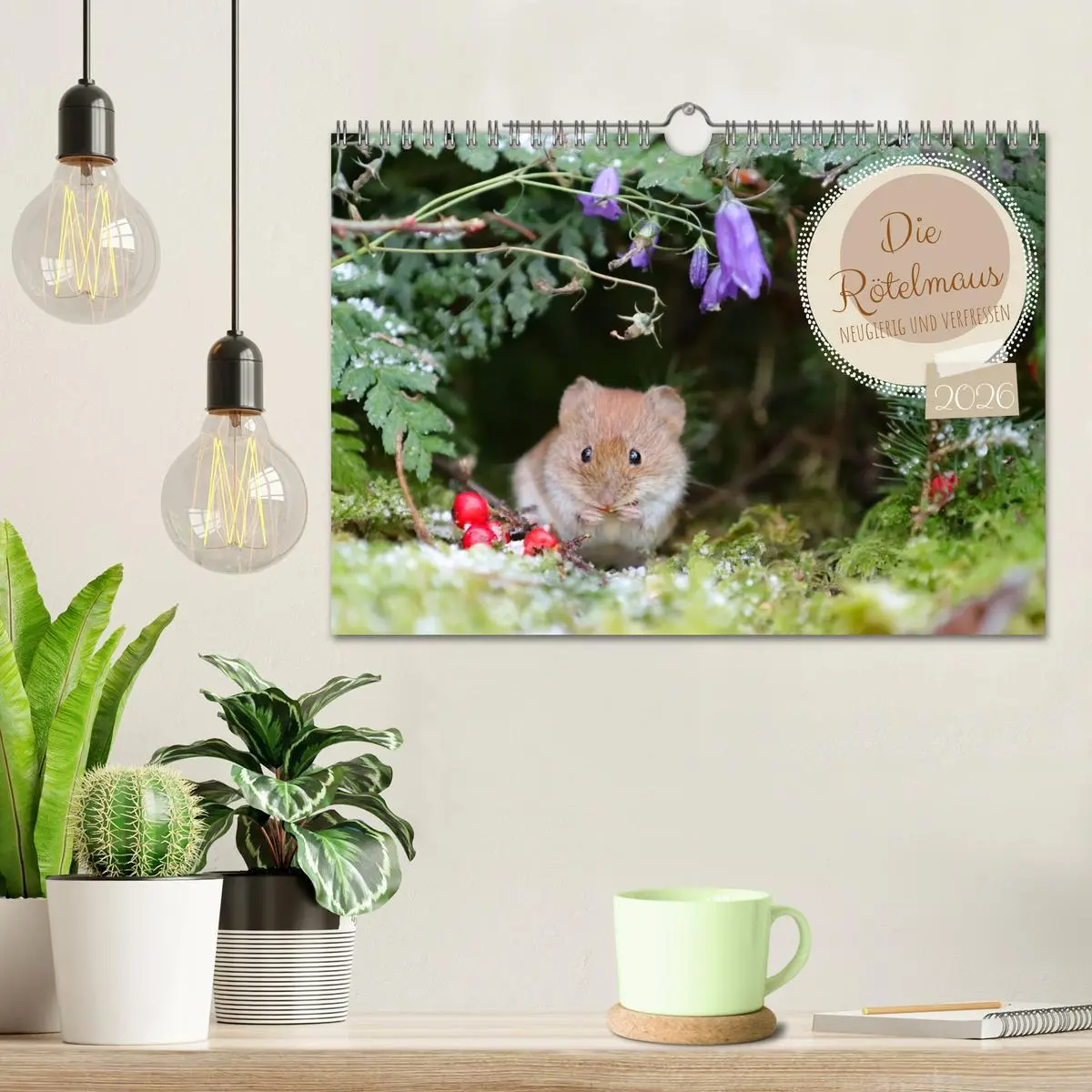 Bild: 9783457376744 | Die Rötelmaus - neugierig und verfressen (Wandkalender 2026 DIN A4...