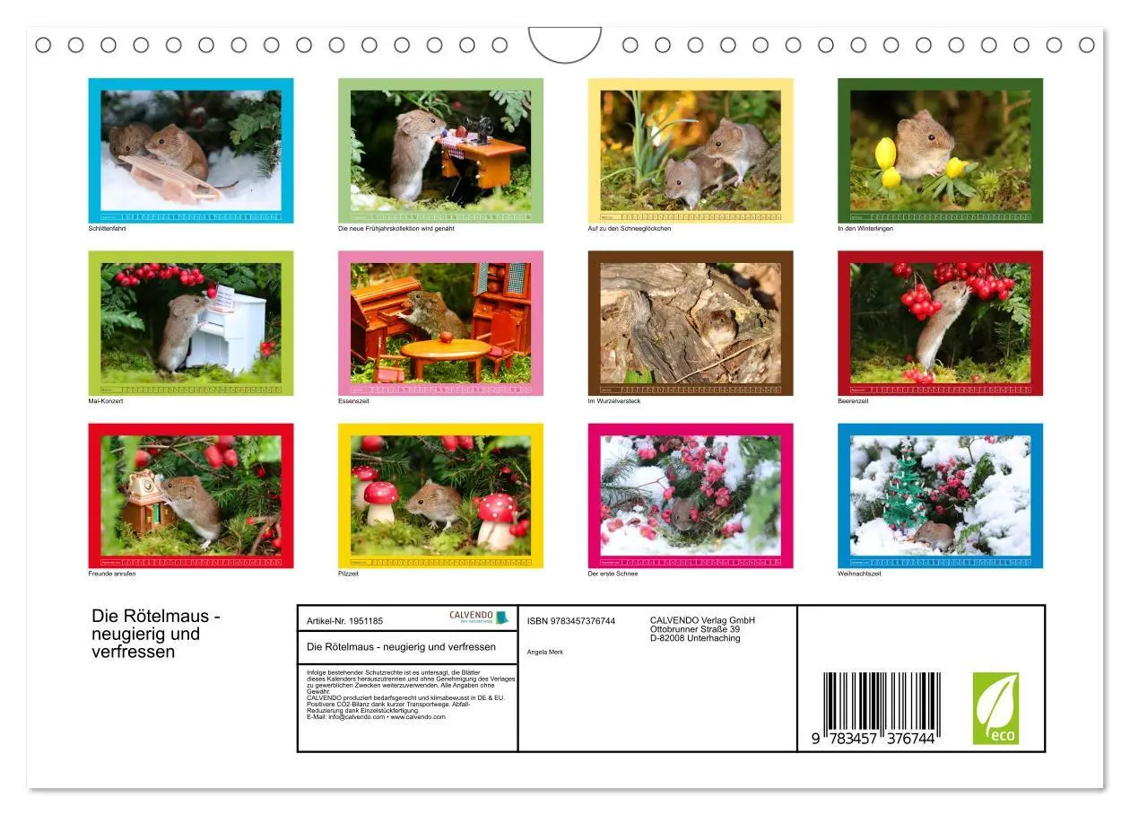 Bild: 9783457376744 | Die Rötelmaus - neugierig und verfressen (Wandkalender 2026 DIN A4...