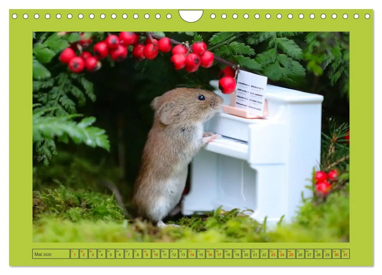 Bild: 9783457376744 | Die Rötelmaus - neugierig und verfressen (Wandkalender 2026 DIN A4...