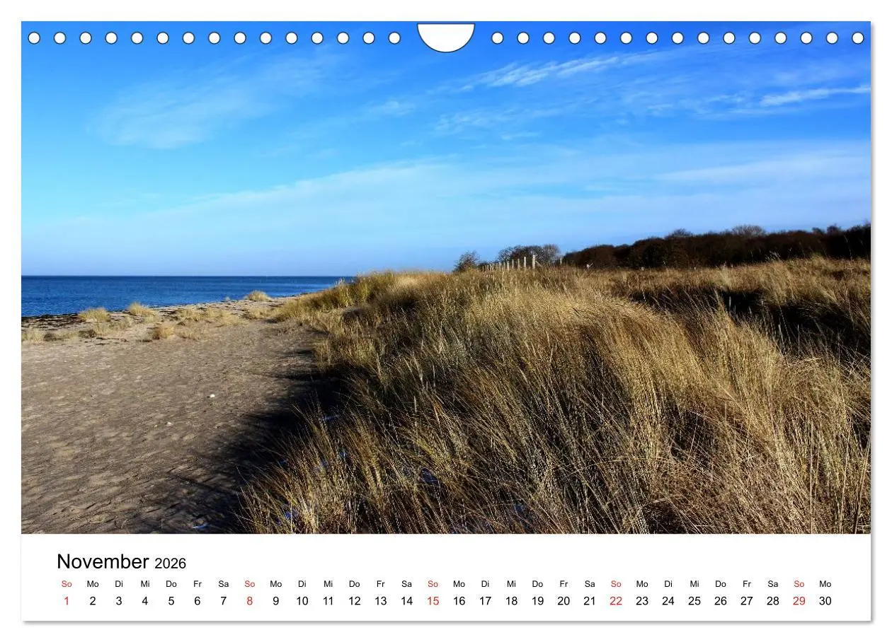 Bild: 9783516086744 | Ostseeküste 2026 (Wandkalender 2026 DIN A4 quer), CALVENDO...