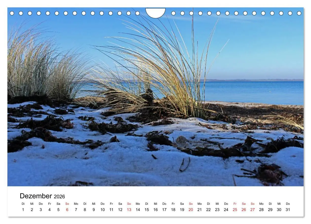 Bild: 9783516086744 | Ostseeküste 2026 (Wandkalender 2026 DIN A4 quer), CALVENDO...