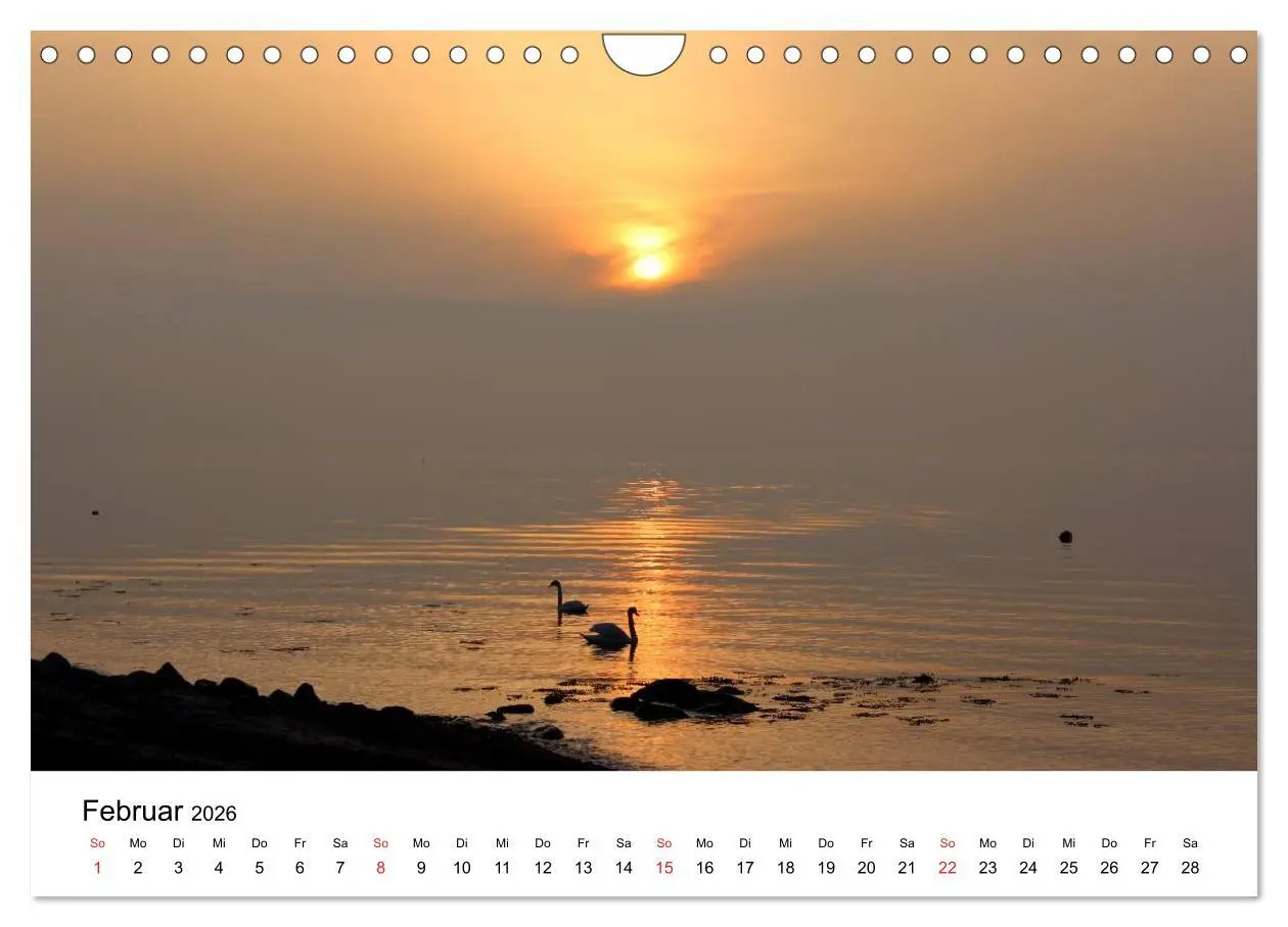Bild: 9783516086744 | Ostseeküste 2026 (Wandkalender 2026 DIN A4 quer), CALVENDO...