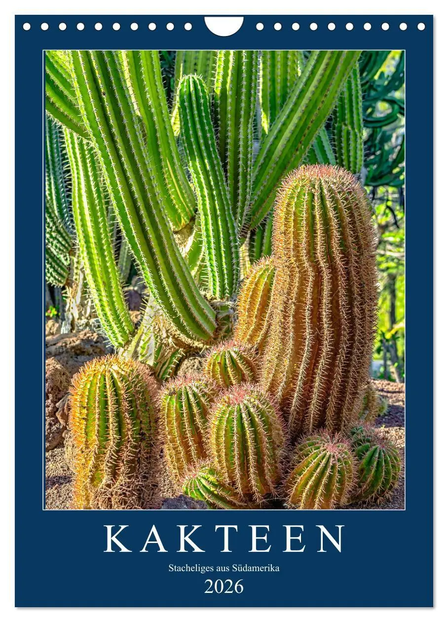 Cover: 9783516396744 | Kakteen - Stacheliges aus Südamerika (Wandkalender 2026 DIN A4...