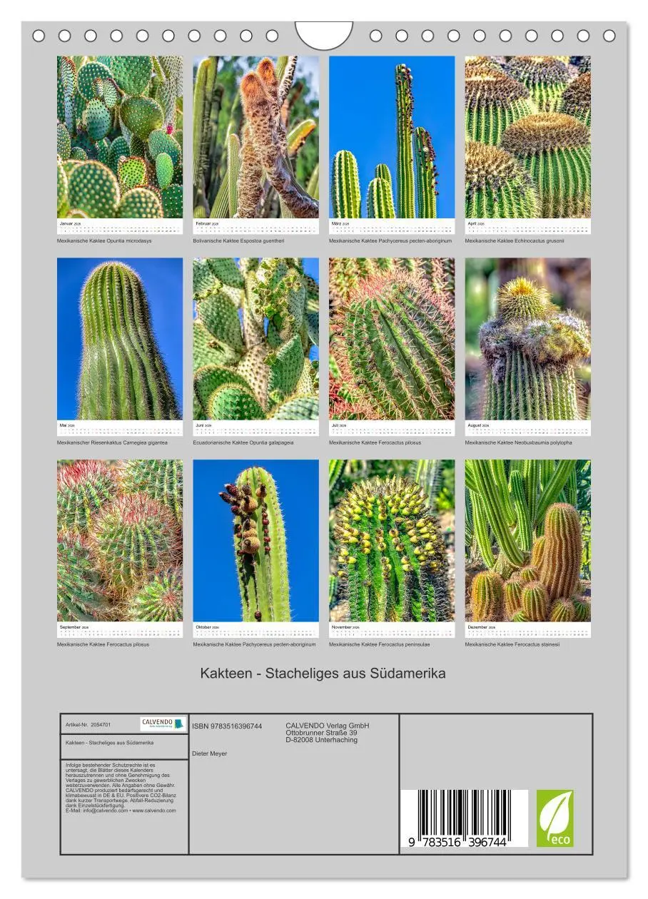 Bild: 9783516396744 | Kakteen - Stacheliges aus Südamerika (Wandkalender 2026 DIN A4...
