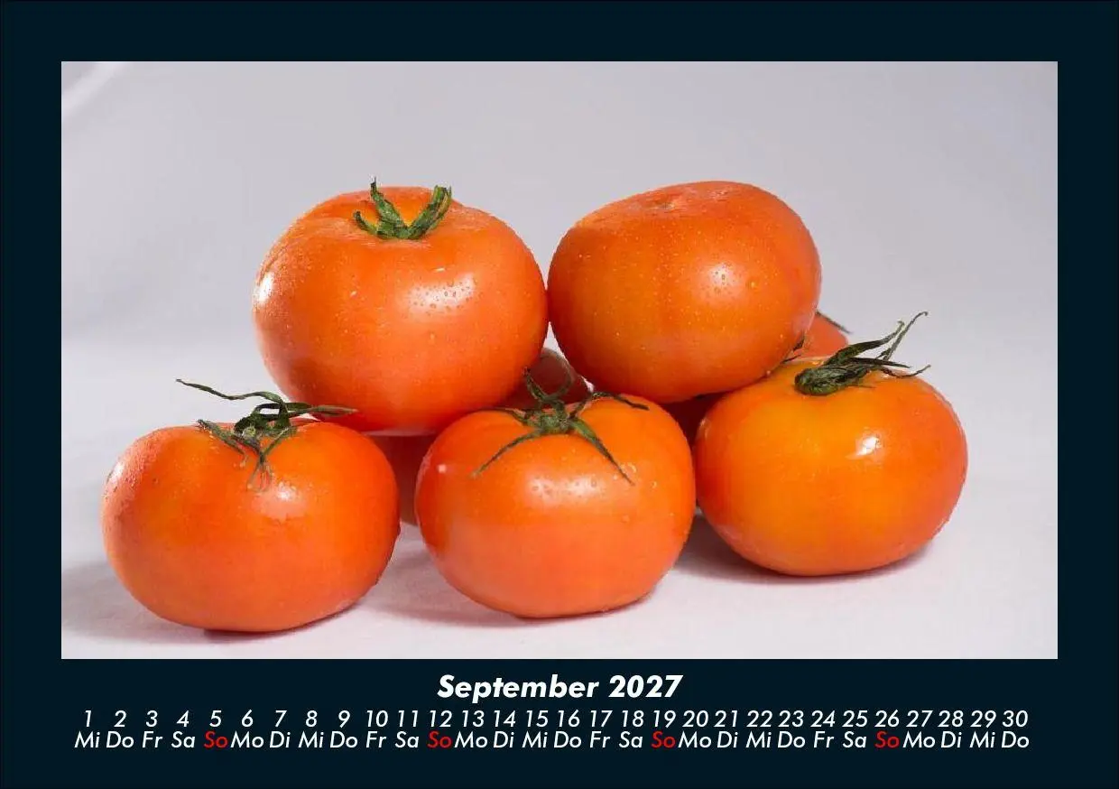 Bild: 9783695426744 | Gemüsekalender 2027 Fotokalender DIN A5 | Tobias Schmitt (u. a.)