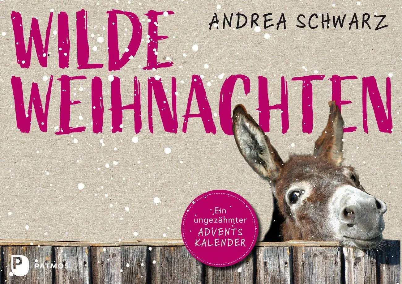 Cover: 9783843616744 | Wilde Weihnachten | Ein ungezähmter Adventskalender | Andrea Schwarz