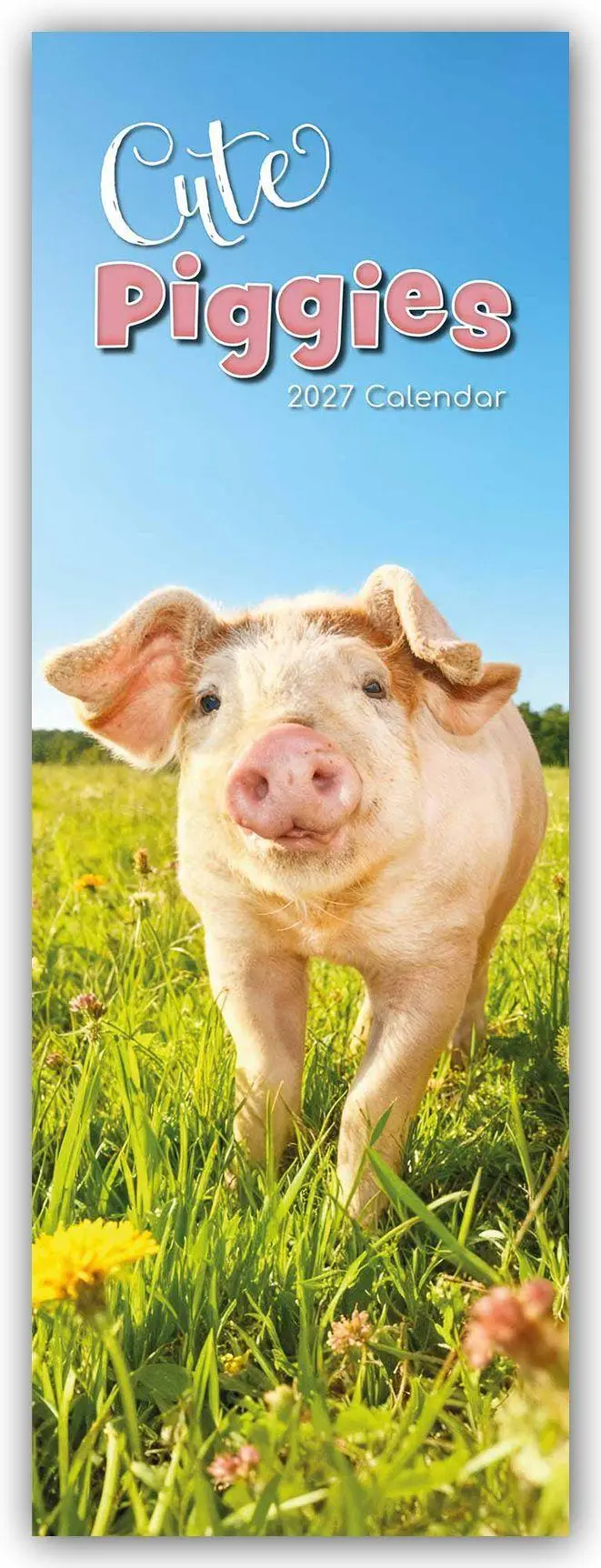 Cover: 9781805976844 | Cute Piggies - Süße kleine Schweinchen - Slimline-Kalender 2027 | Ltd