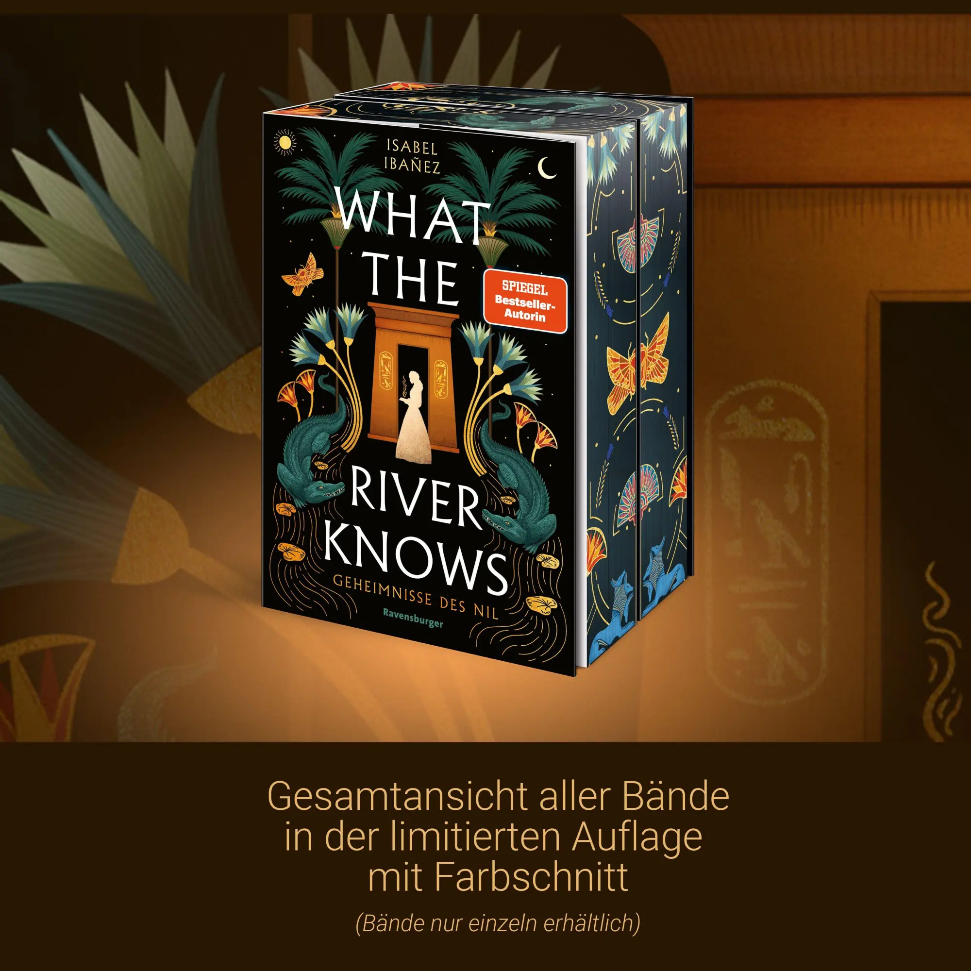 Bild: 9783473586844 | Geheimnisse des Nil, Band 2 - Where the Library Hides | Isabel Ibañez