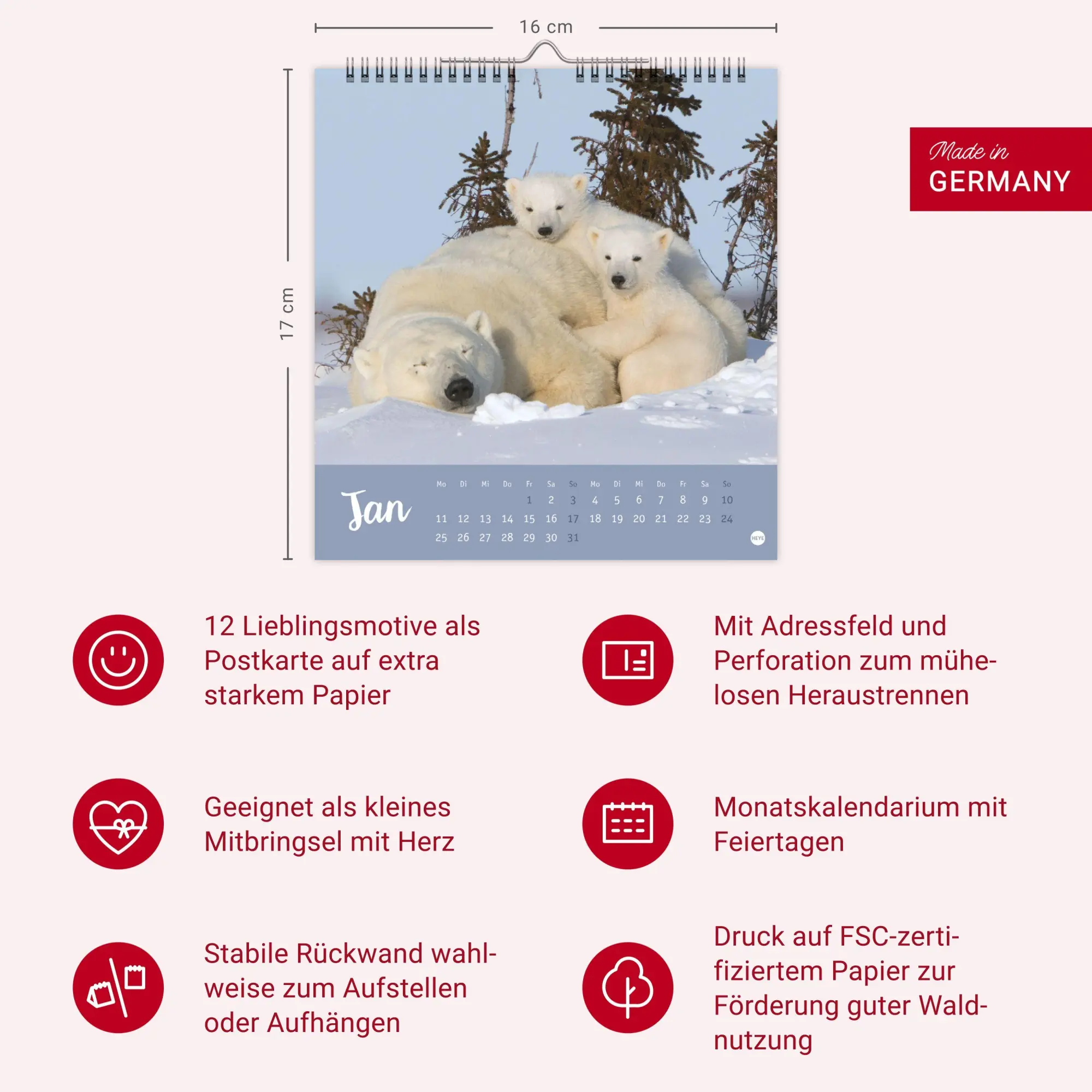 Bild: 9783756416844 | Bärenstark Postkartenkalender 2027 | Kalender | 13 S. | Deutsch | 2027