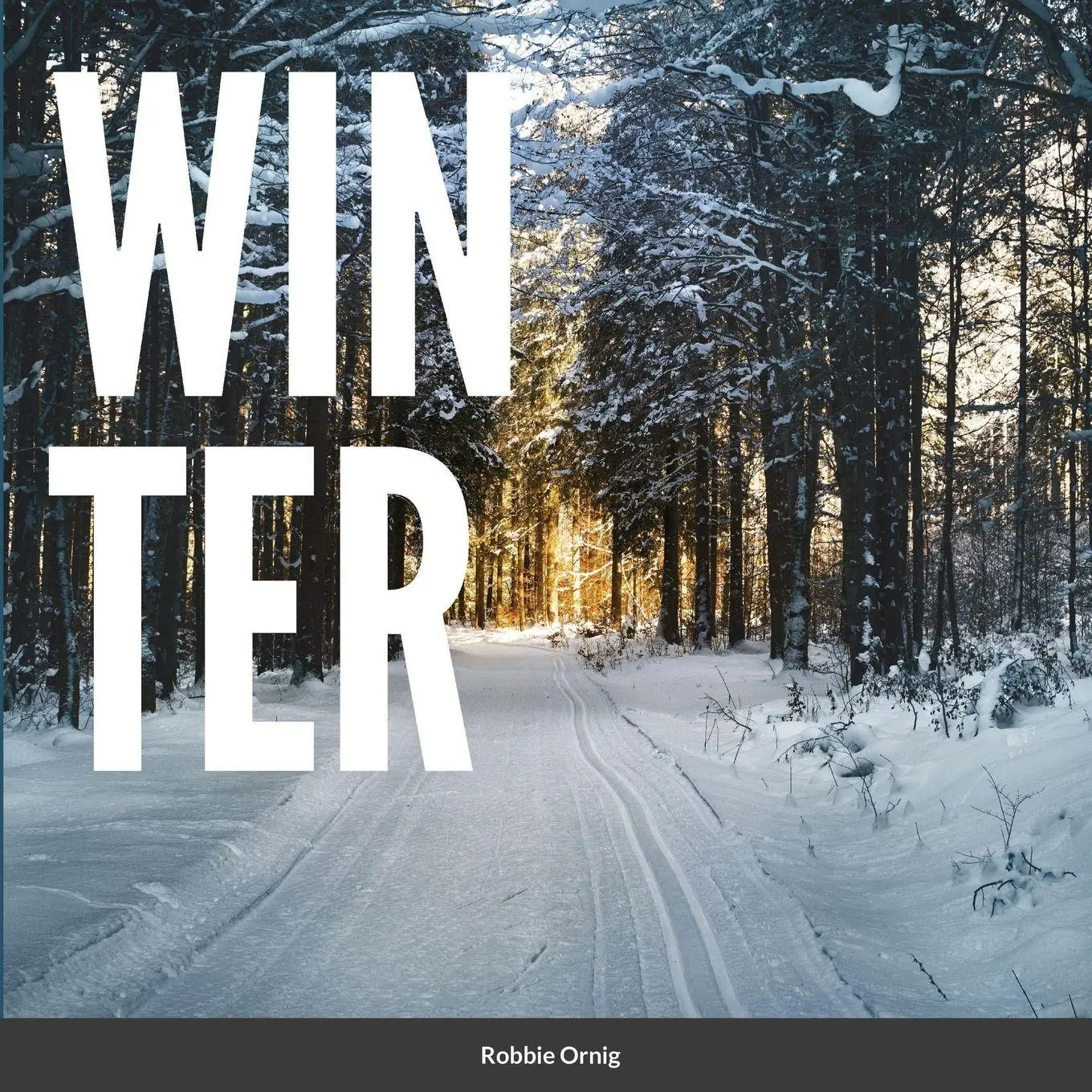 Cover: 9781794846944 | Winter | Robbii Ornig | Taschenbuch | Kartoniert / Broschiert | 2021