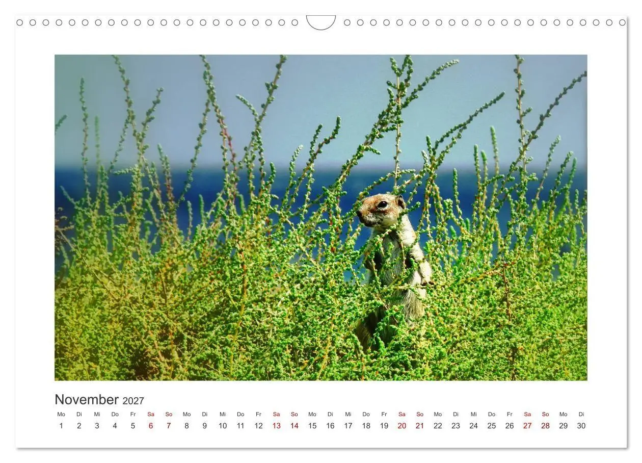 Bild: 9783569846944 | Fuerteventura - Bildschön (Wandkalender 2027 DIN A3 quer), CALVENDO...