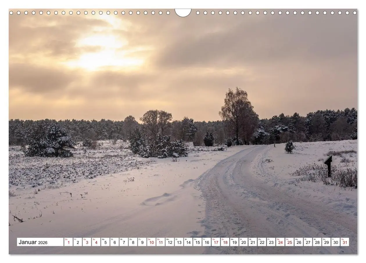 Bild: 9783516717044 | Lüneburger Heide: Die Nordheide (Wandkalender 2026 DIN A3 quer),...