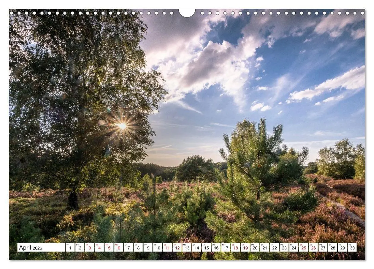 Bild: 9783516717044 | Lüneburger Heide: Die Nordheide (Wandkalender 2026 DIN A3 quer),...