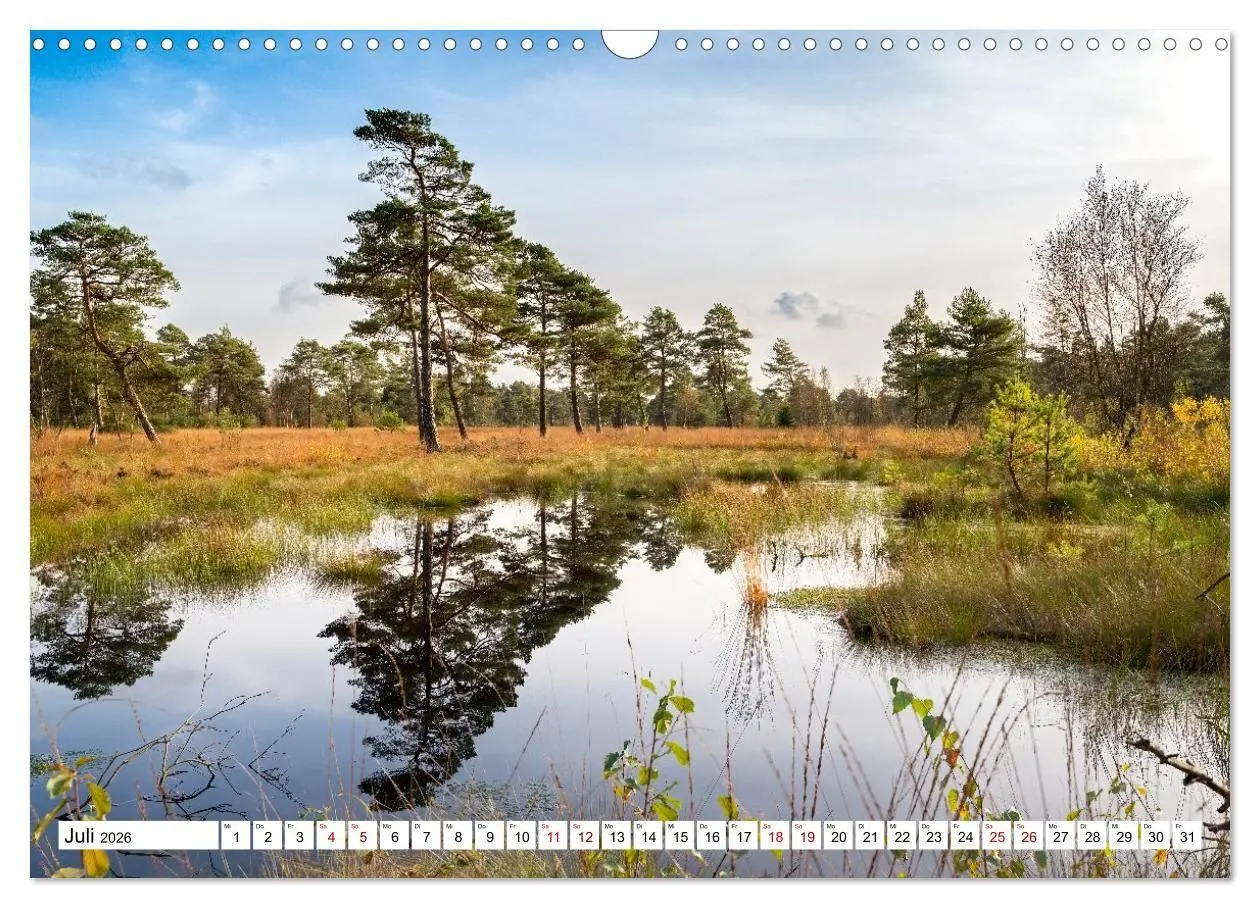 Bild: 9783516717044 | Lüneburger Heide: Die Nordheide (Wandkalender 2026 DIN A3 quer),...