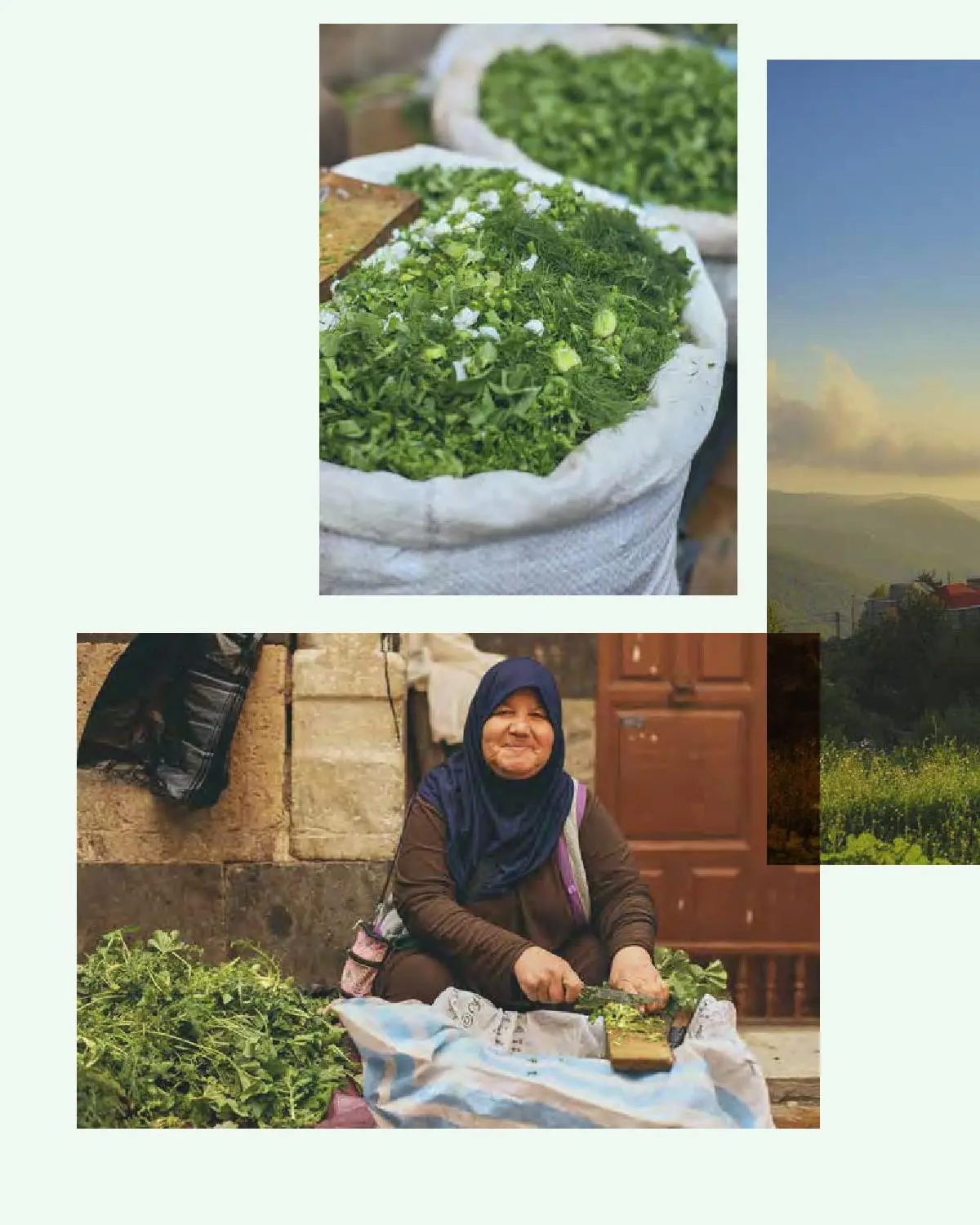 Bild: 9783966647144 | Beirut - Das Kochbuch | Hisham Assaad | Buch | 224 S. | Deutsch | 2023