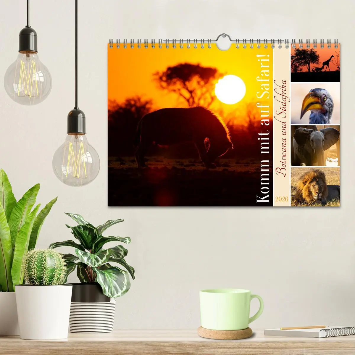 Bild: 9783516627244 | Komm mit auf Safari! Botswana und Südafrika (Wandkalender 2026 DIN...