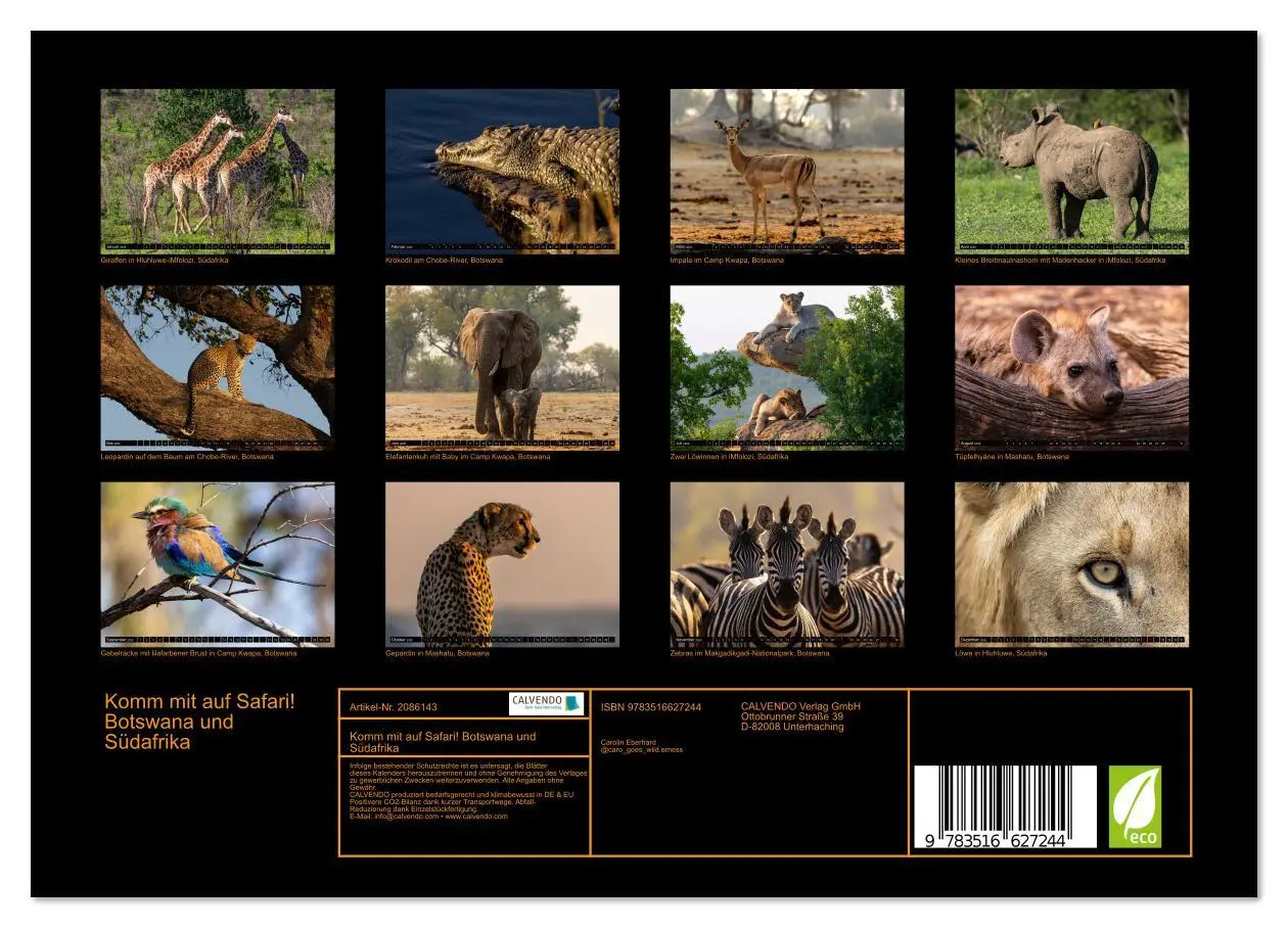 Bild: 9783516627244 | Komm mit auf Safari! Botswana und Südafrika (Wandkalender 2026 DIN...